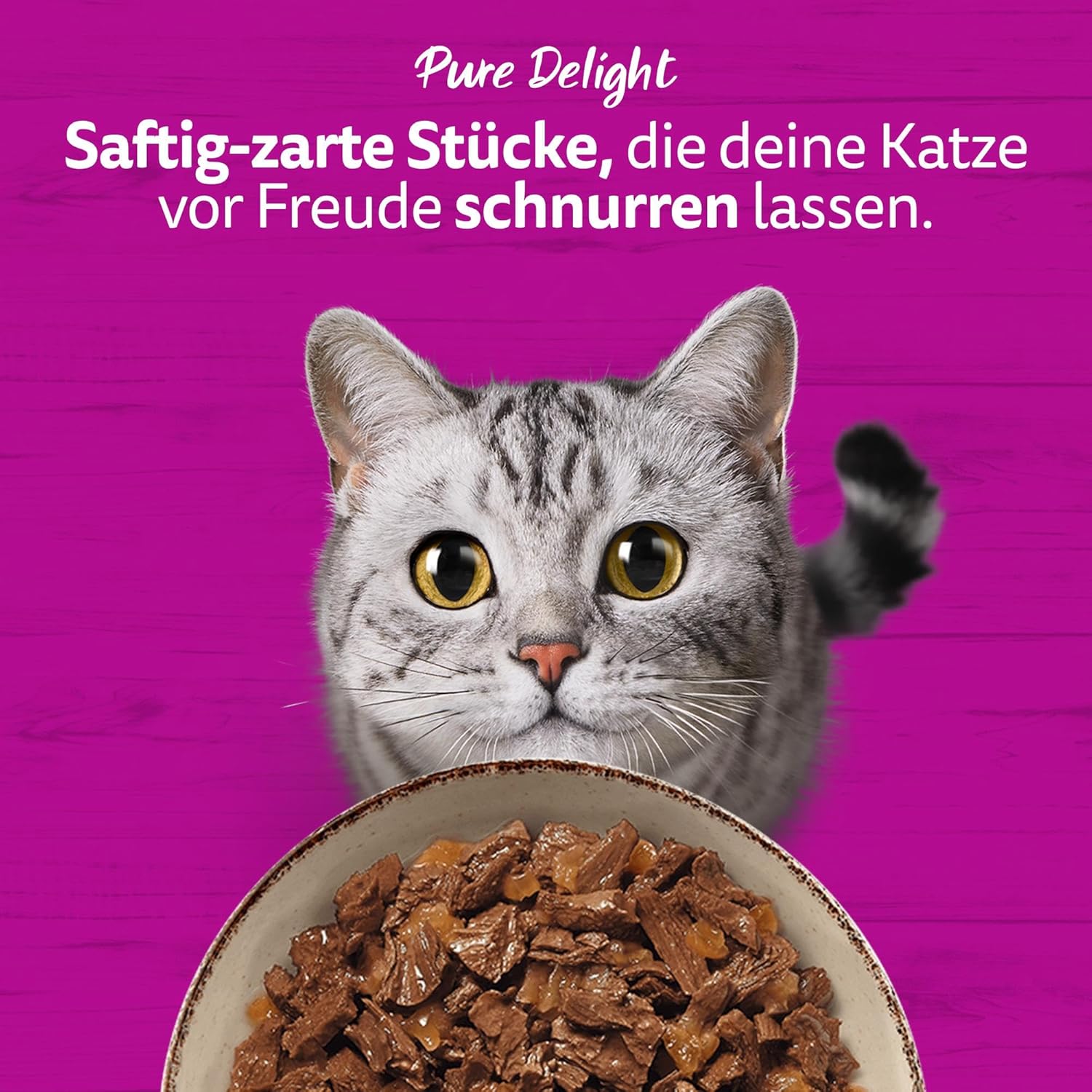 Whiskas 1+ Katzennassfutter Ragout Geflügel Auswahl in Gelee, 40x85g (1 Packung) – Hochwertiges Nassfutter für ausgewachsene Katzen in 40 Portionsbeuteln