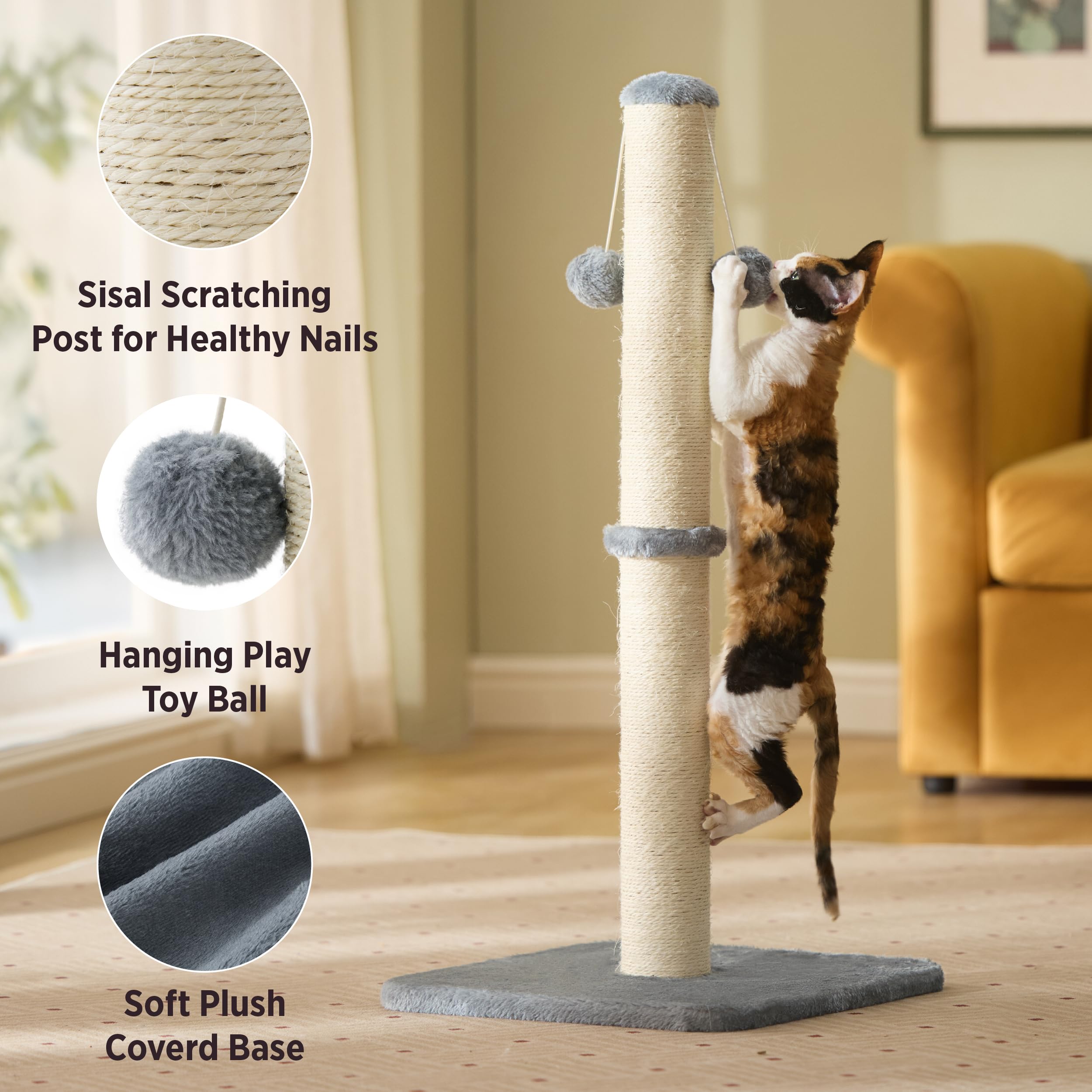 Lesure Kratzsäule Mittelgroßer für Katzen Indoor - 36x36x74cm Kratzstamm mit Hängendem Spielball, Kleiner Kratzbaum mit Sisalseil, Stabile Basis Kratzsäule, Grau
