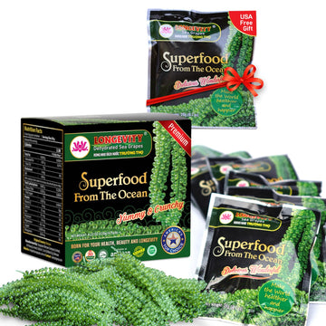 Longevity Meerestraube | Sea Grapes | Umibudo Grape Seaweed 6 x 20G | Rohkost | veganer Kaviar | für knackige Salate