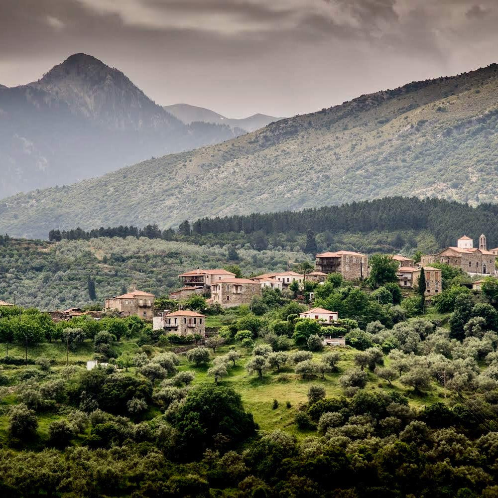 Ancient Foods Keros Organic Extra Virgin Olive Oil Cold Pressed – Greek EVOO, High Polyphenol Olive Oil from 1000 Year Old Trees from Greece – Ideal for Cooking, Salads & Gourmet Dishes – 101oz (3L)