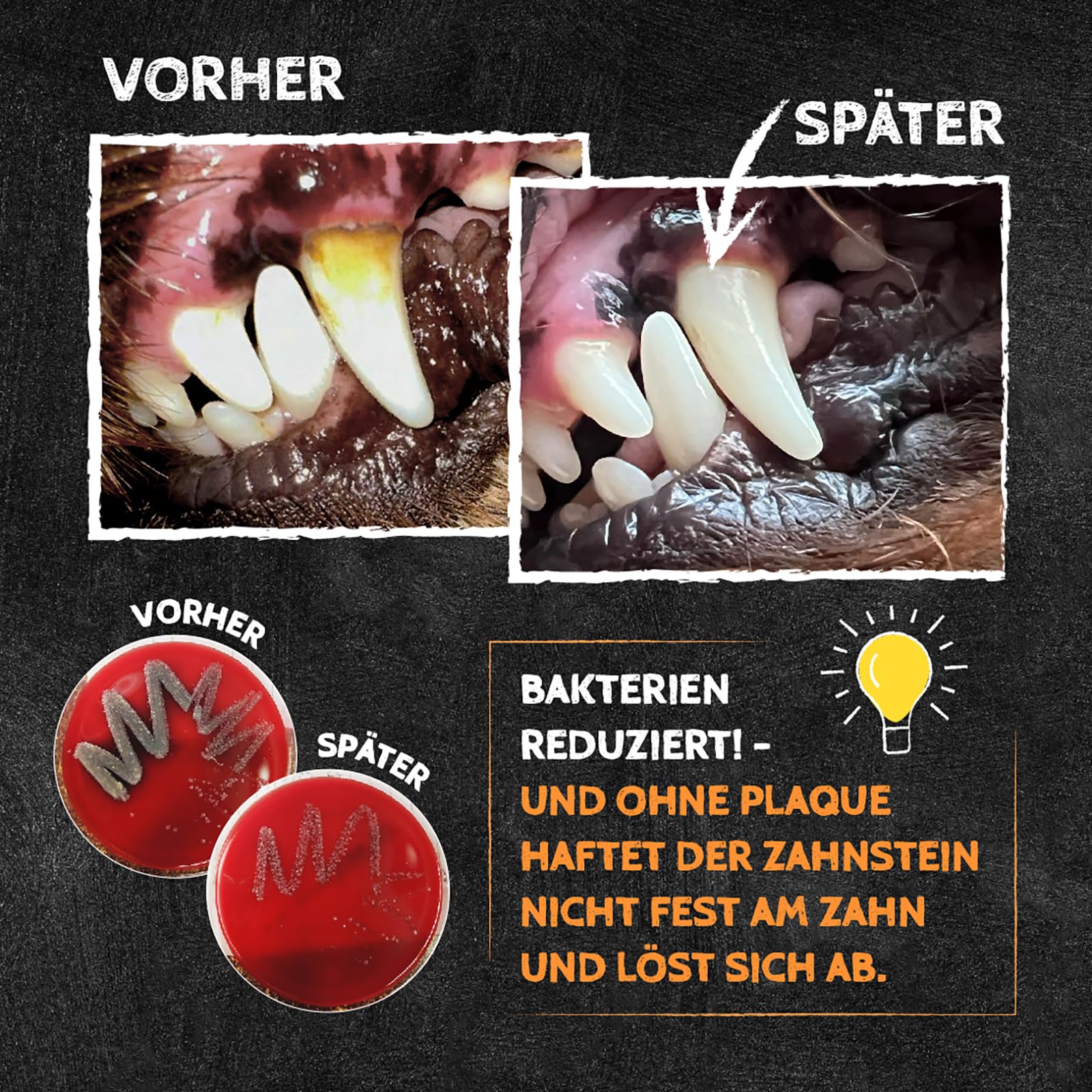 QCHEFS 2er Pack Großpackung Papie Zahnputzflocken für große Hunde - Zahnpflege Hund, ohne Dentalspray für Hunde, Zahnsteinentferner & Mundgeruch Kontrolle, Ideal für Hunde von der Schleckmatte