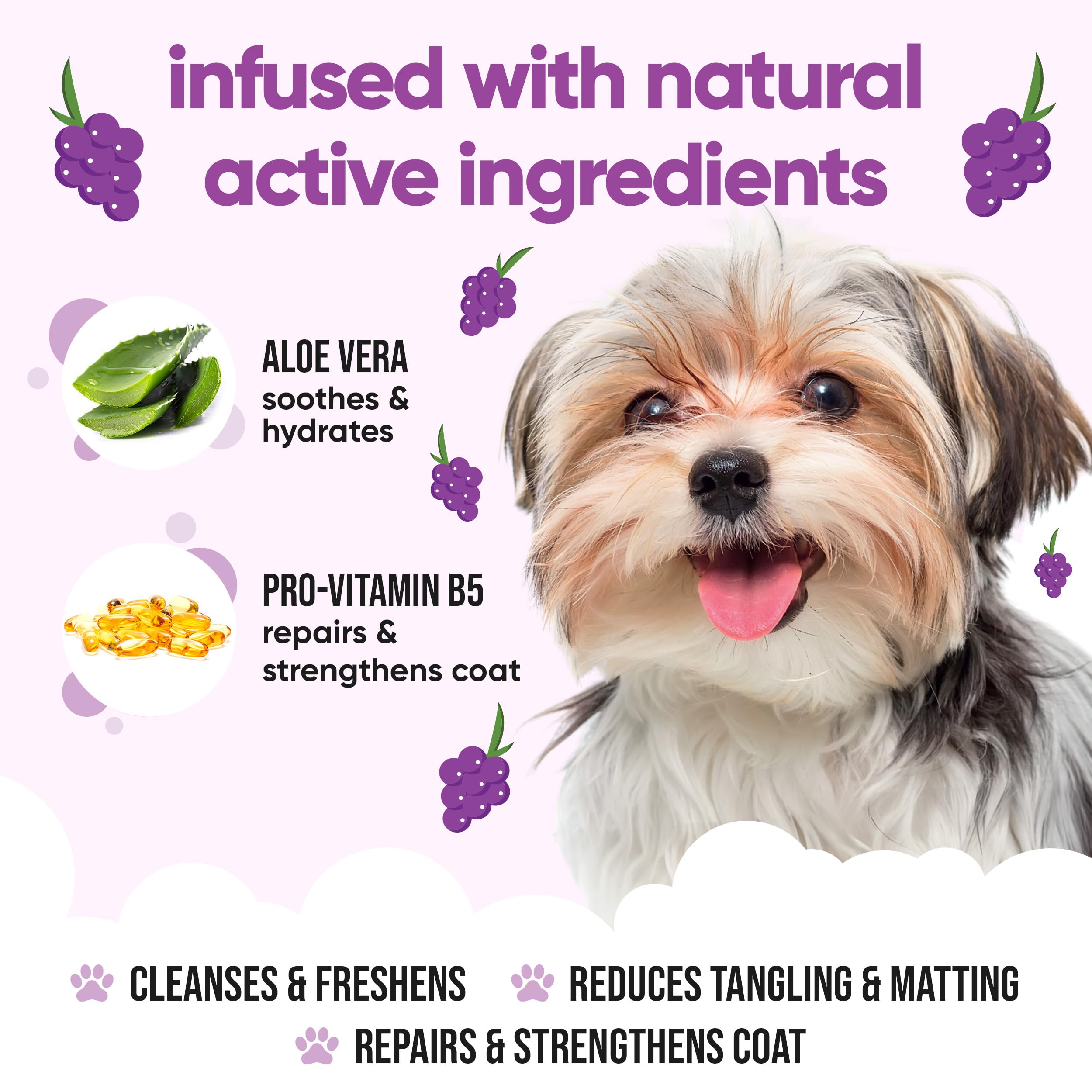 2in1 Hundeshampoo und Conditioner von Buddycare (500ml) - Praktisches Hundeshampoo langhaar und welpen Shampoo Mit Aloe Vera und Pro-Vitamin B5 Rückfettendes Shampoo Für Alle Hunderassen