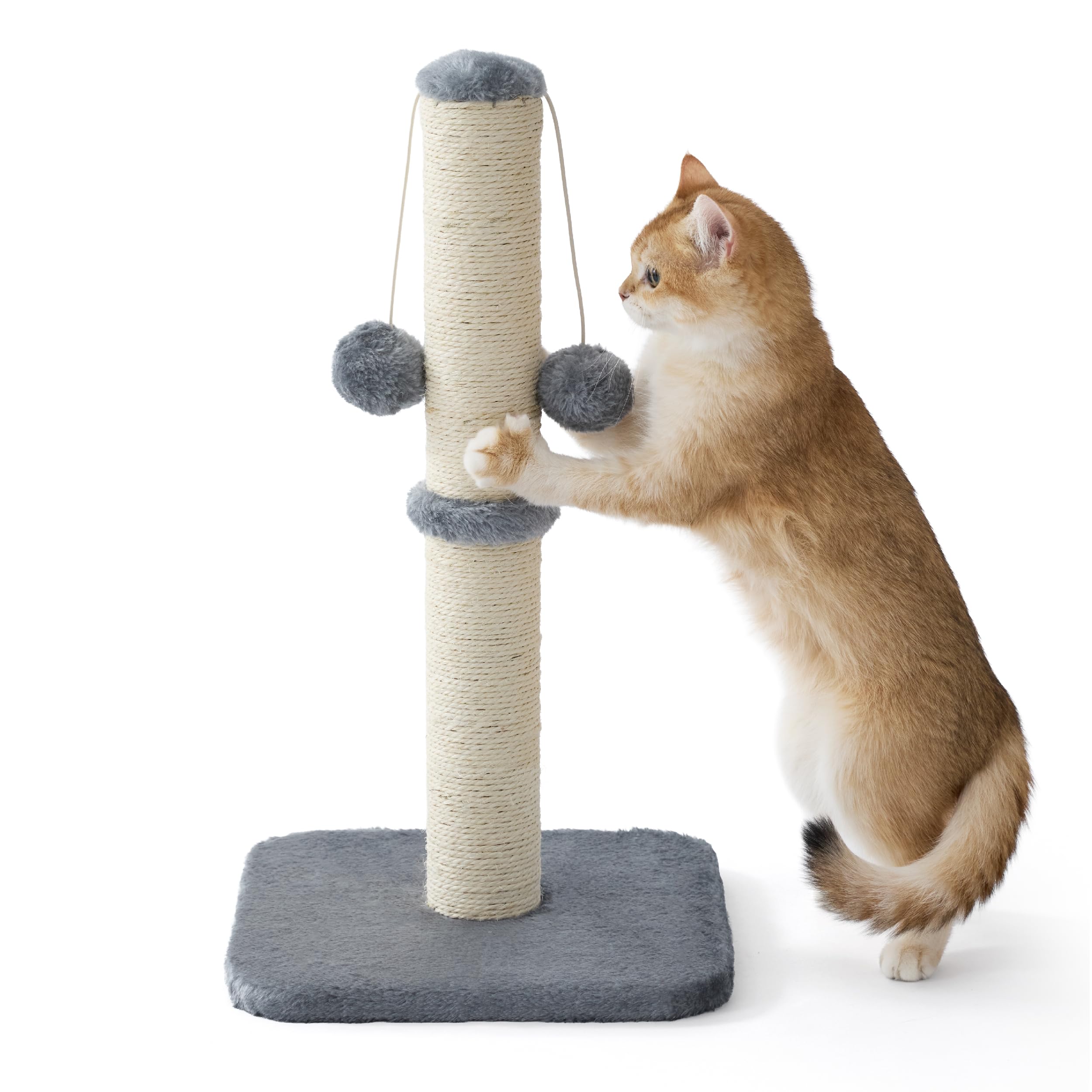 Lesure Kratzsäule Mittelgroßer für Katzen Indoor - 36x36x74cm Kratzstamm mit Hängendem Spielball, Kleiner Kratzbaum mit Sisalseil, Stabile Basis Kratzsäule, Grau