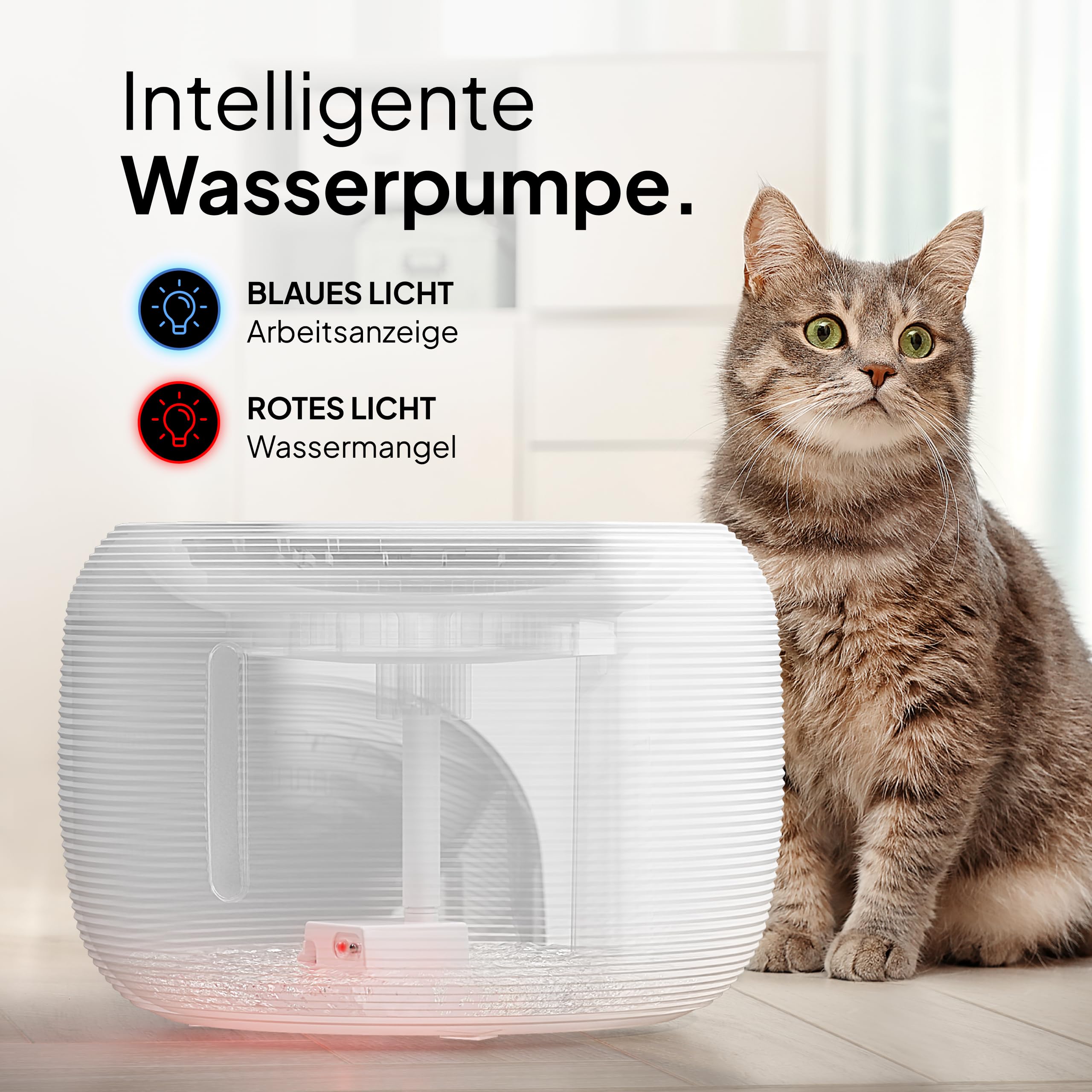 Pretty Paw Trinkbrunnen für Katze – Flüsterleiser 2,5L Katzenbrunnen mit LED & Aktivkohlefilter - BPA-frei & leicht zu reinigen - Hochwertige Lösung zum fairen Preis - KatzenOase Pro