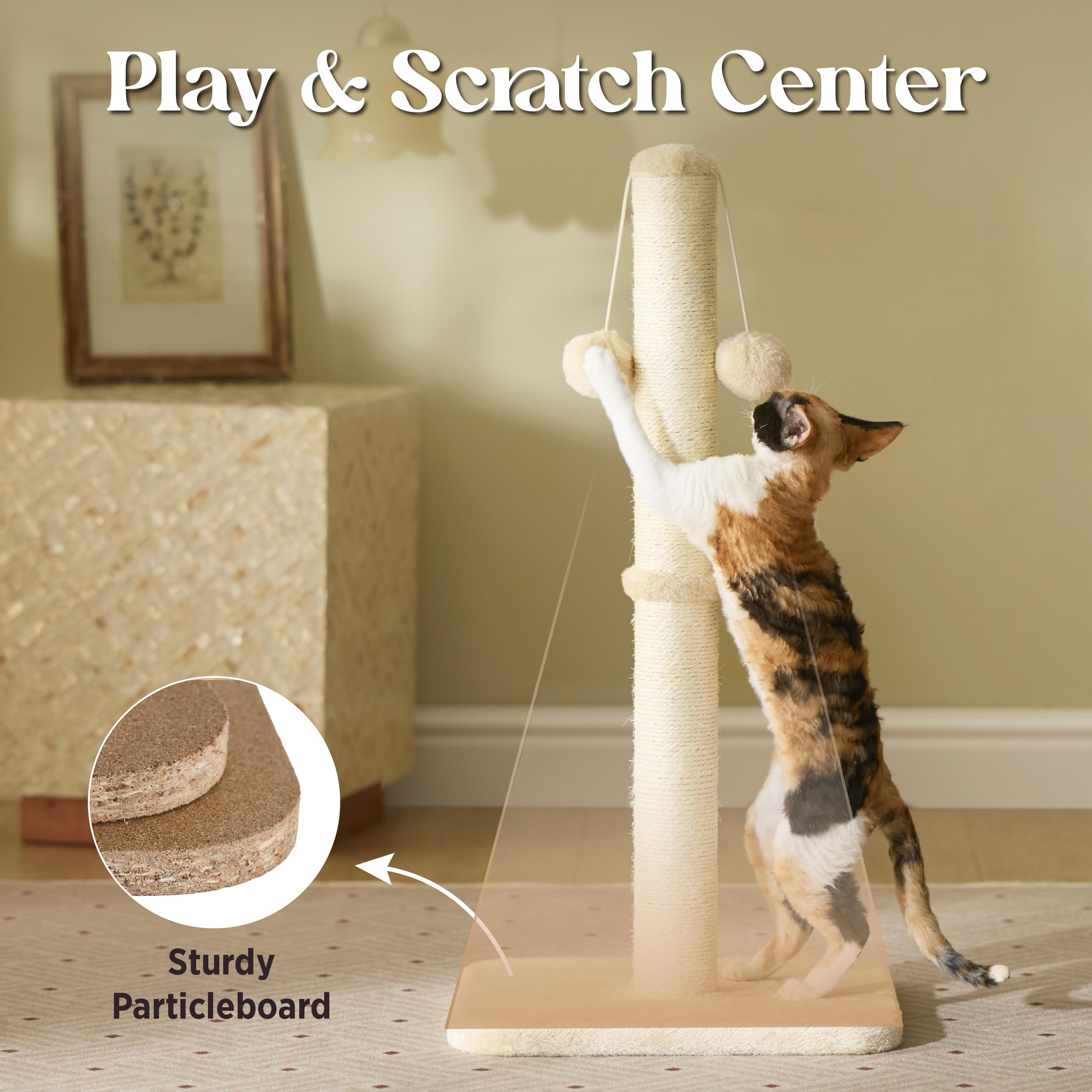 Lesure Kratzsäule Mittelgroßer für Katzen Indoor - 36x36x74cm Kratzstamm mit Hängendem Spielball, Kleiner Kratzbaum mit Sisalseil, Stabile Basis Kratzsäule, Grau