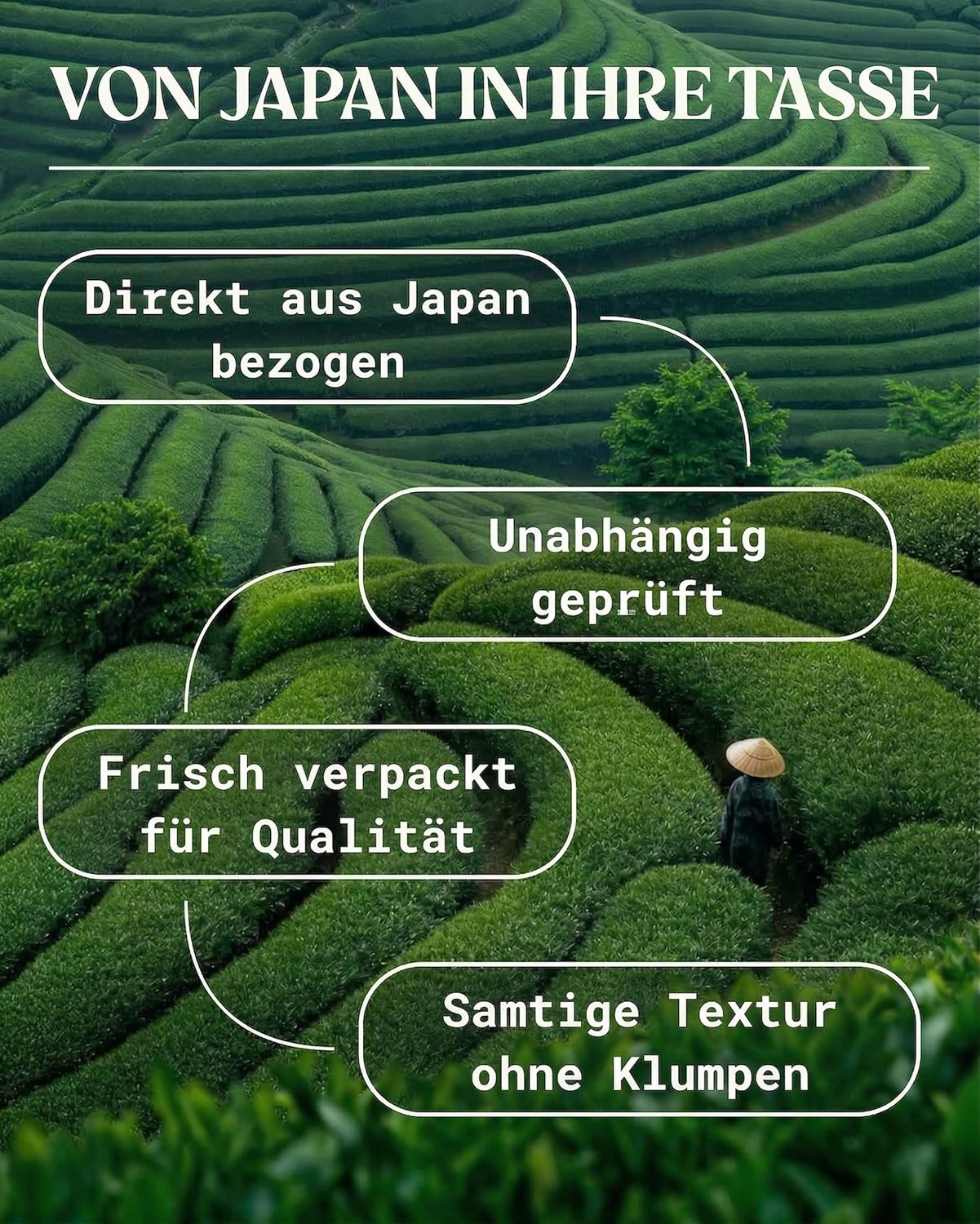 NaturaleBio Matcha Tee Pulver Bio - Premium-Qualität - 100g. Original Green Tea aus Japan. Japanischer ideal zum Trinken. Grüntee für Latte, Smoothies Getränk. Hergestellt in Uji, Kyoto.