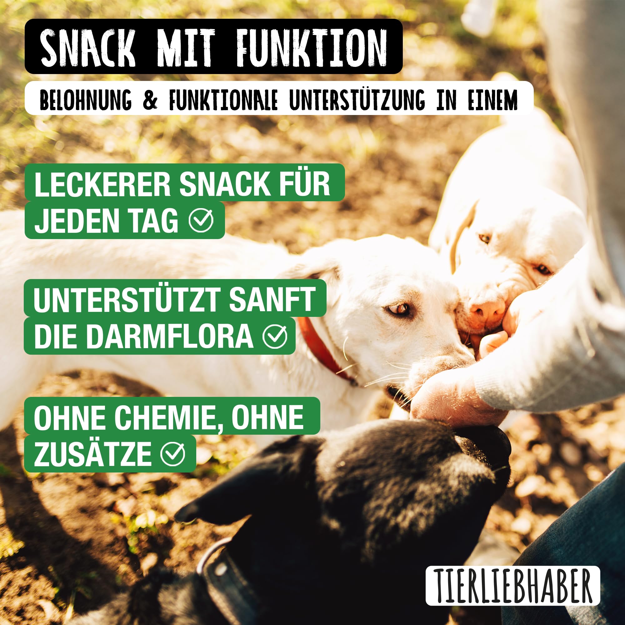 TIERLIEBHABER – Gras- & Kotfresser Drops bei Sodbrennen Hund mit Ulmenrinde für Hunde – Tierärztlich entwickelt – Hund Sodbrennen Drops angereichert mit Moor und Fenchel – 350 g mit ca. 160 Drops