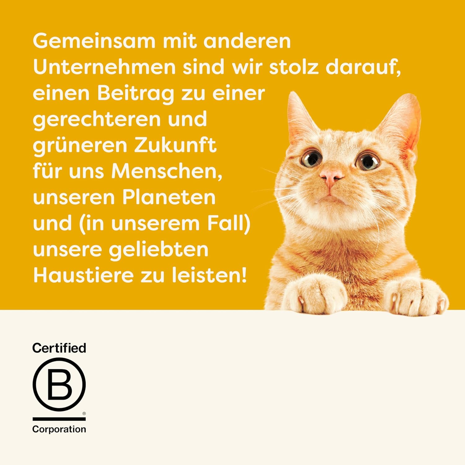 Applaws 100% Natural Thunfischfilet Nassfutter in Brühe für ausgewachsene Katzen - 24 x 70g Dosen