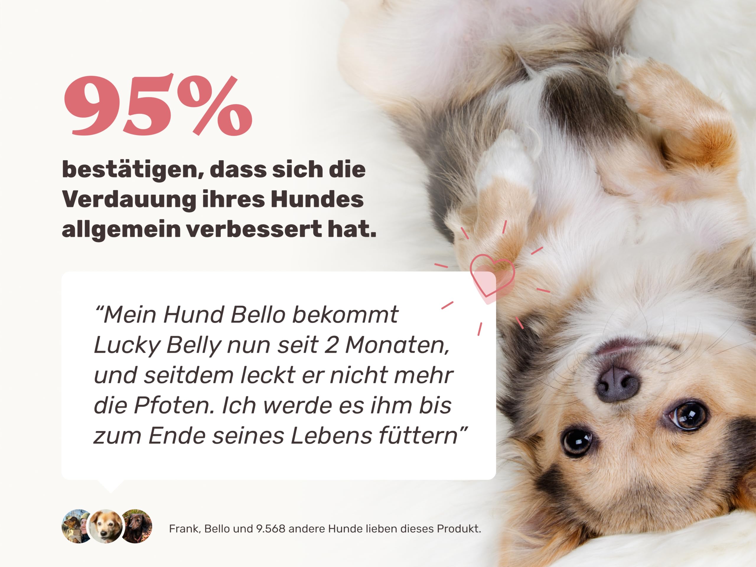 9-in-1 Probiotika für Deinen Hund - Lucky Belly Hypoallergen Allergie Fit ohne Huhn 120 Drops (350g) von mammaly-Bei Magenprobleme & Verdauungsprobleme für Magen-Darm,Verdauungssnacks bei Gras fressen