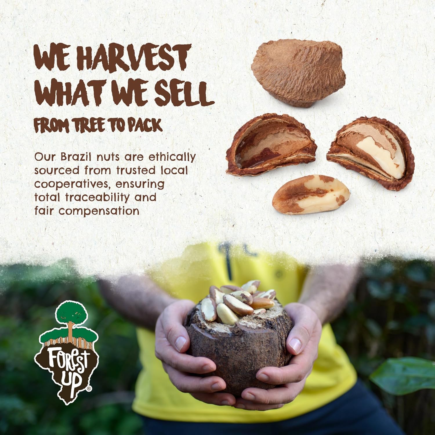 Snack The True Organic Brazil Nuts 15 oz – Raw and Unsalted – Kosher – Healthy – Rich in Vegetable Protein – Harvested in Amazon Rainforest – Fresh, Vegan, and Gluten Free – Forest Up