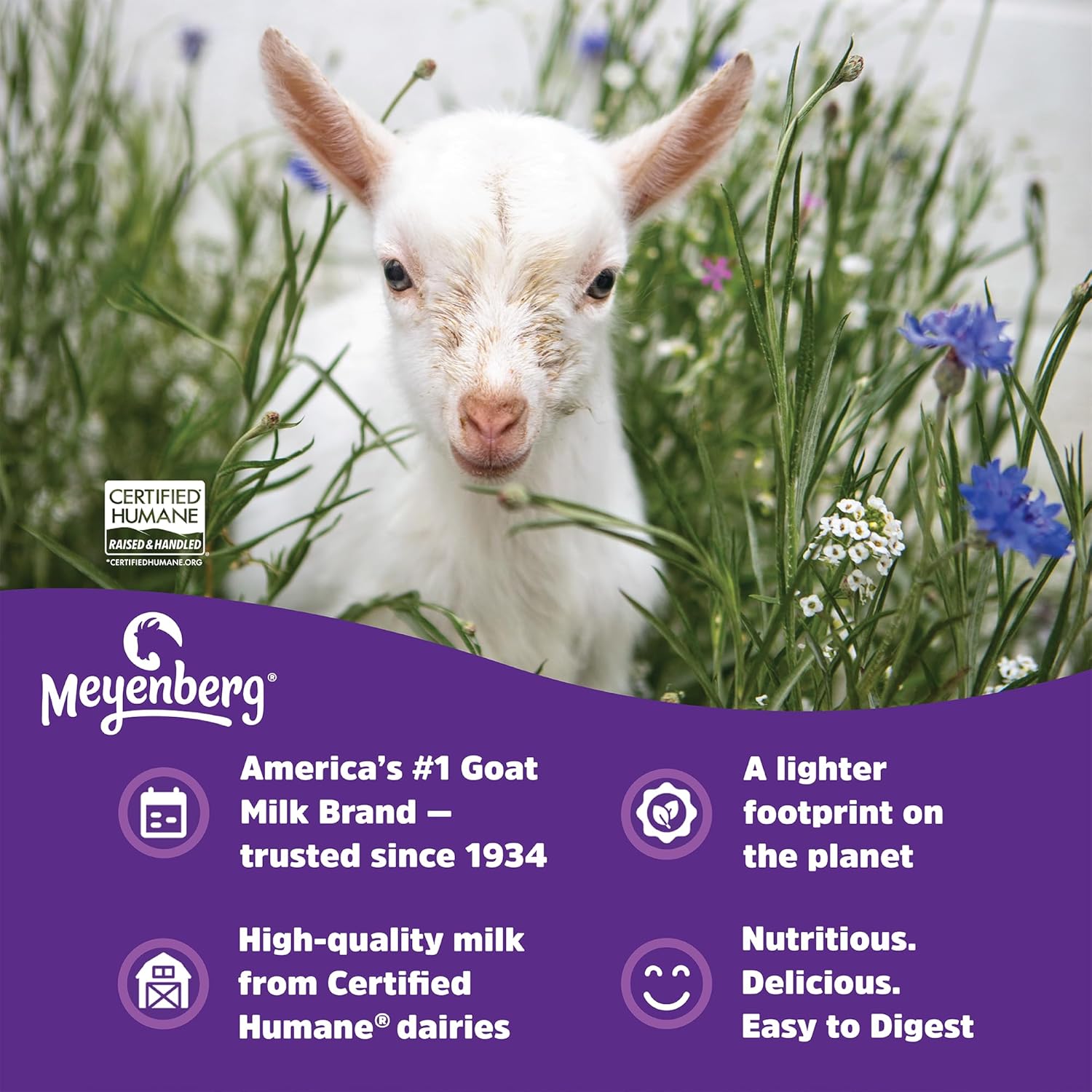 Meyenberg Whole Powdered Goat Milk, 16oz pouch, Amazon Exclusive, Kosher, Gluten Free, 6pk