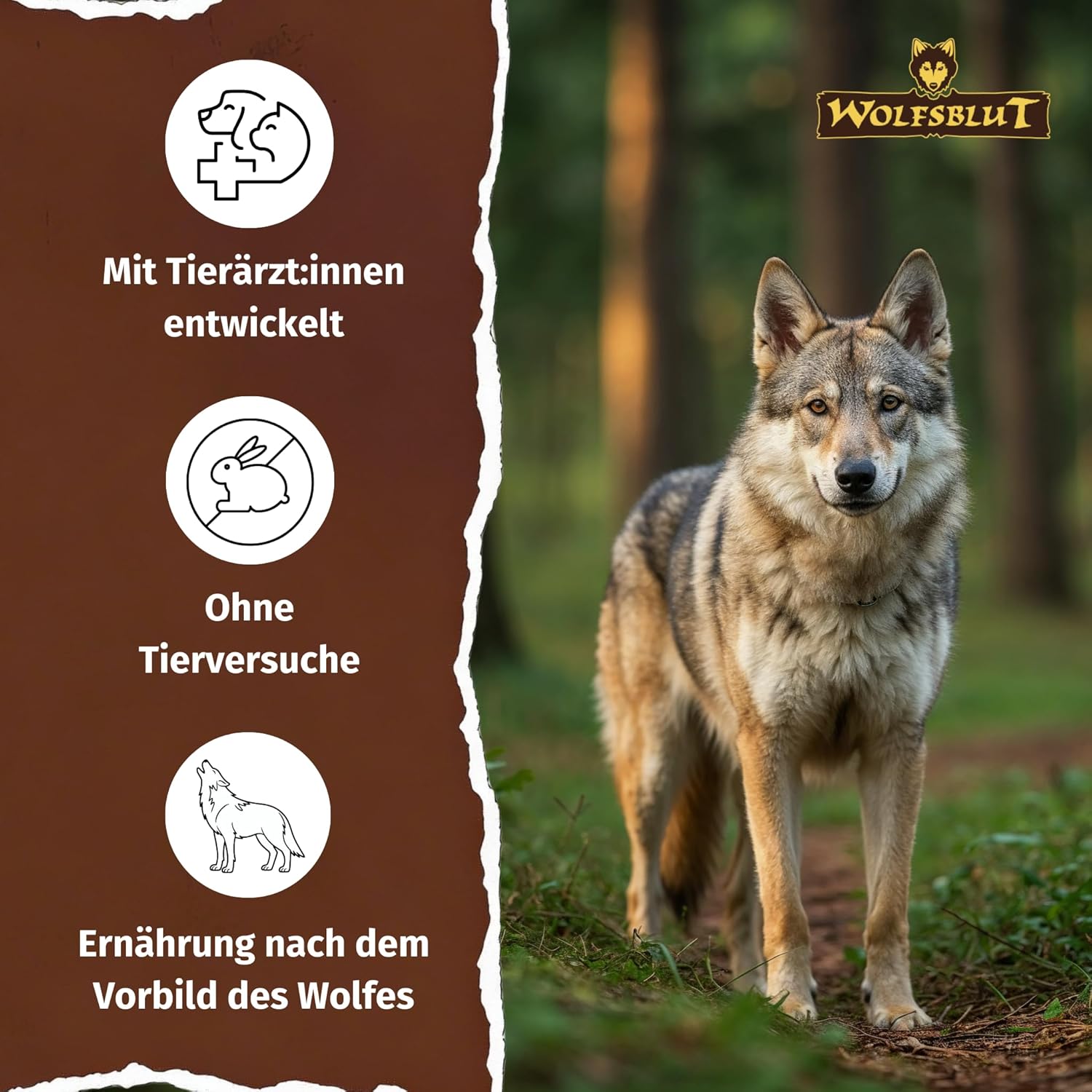 WOLFSBLUT – Wild Duck Adult | Trockenfutter mit natürlichen Zutaten und Superfoods für ausgewachsene Hunde. Getreidefreies Alleinfutter ohne Zusatzstoffe im Beutel | 12,5kg Ente