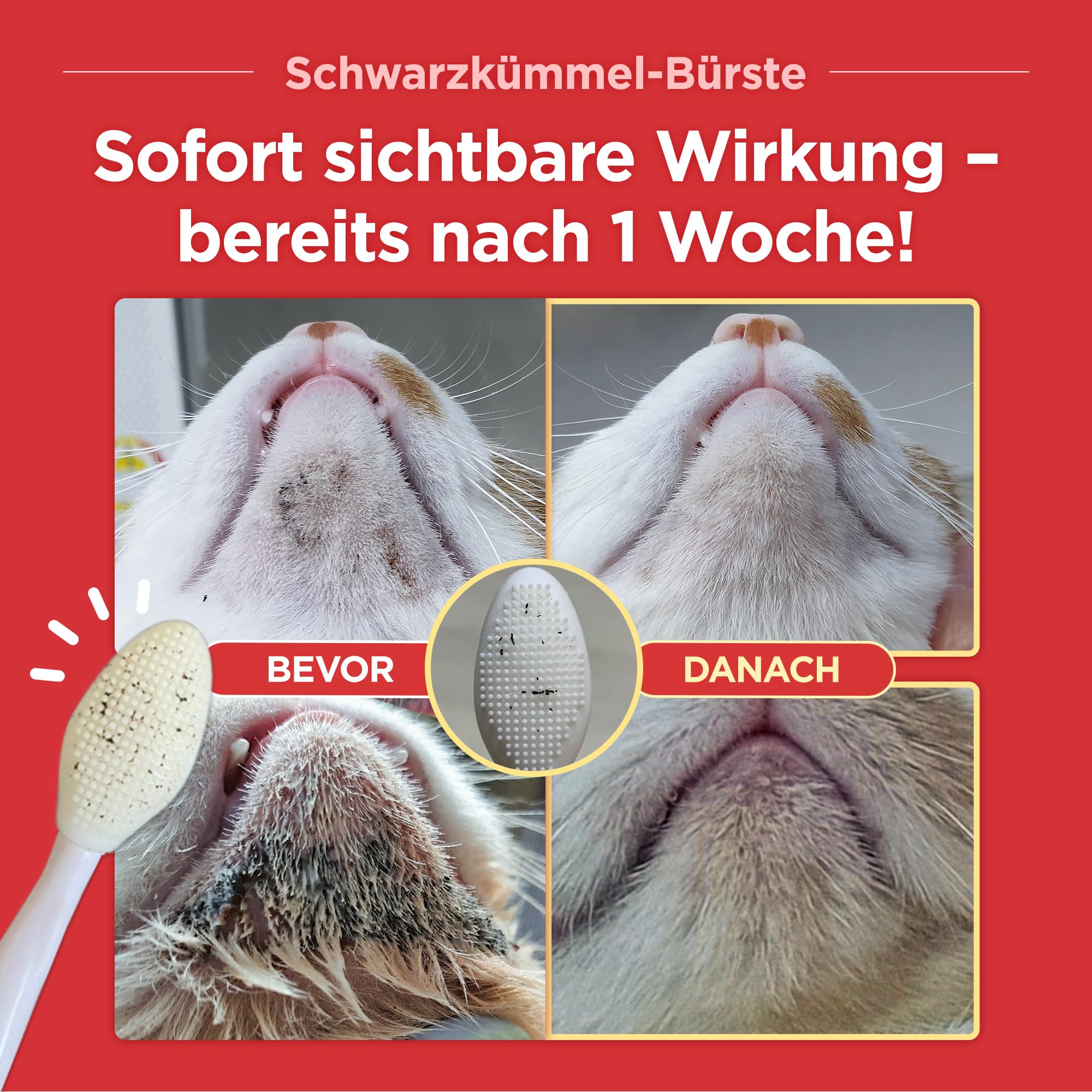 JAYU PET Schwarzkümmel-Reiniger - Kinnakne-Behandlung für Katzen, ungiftiger hypoallergener Reiniger, entfernt Mitesser am Katzenkinn und verbessert die Hautgesundheit (125 ml)