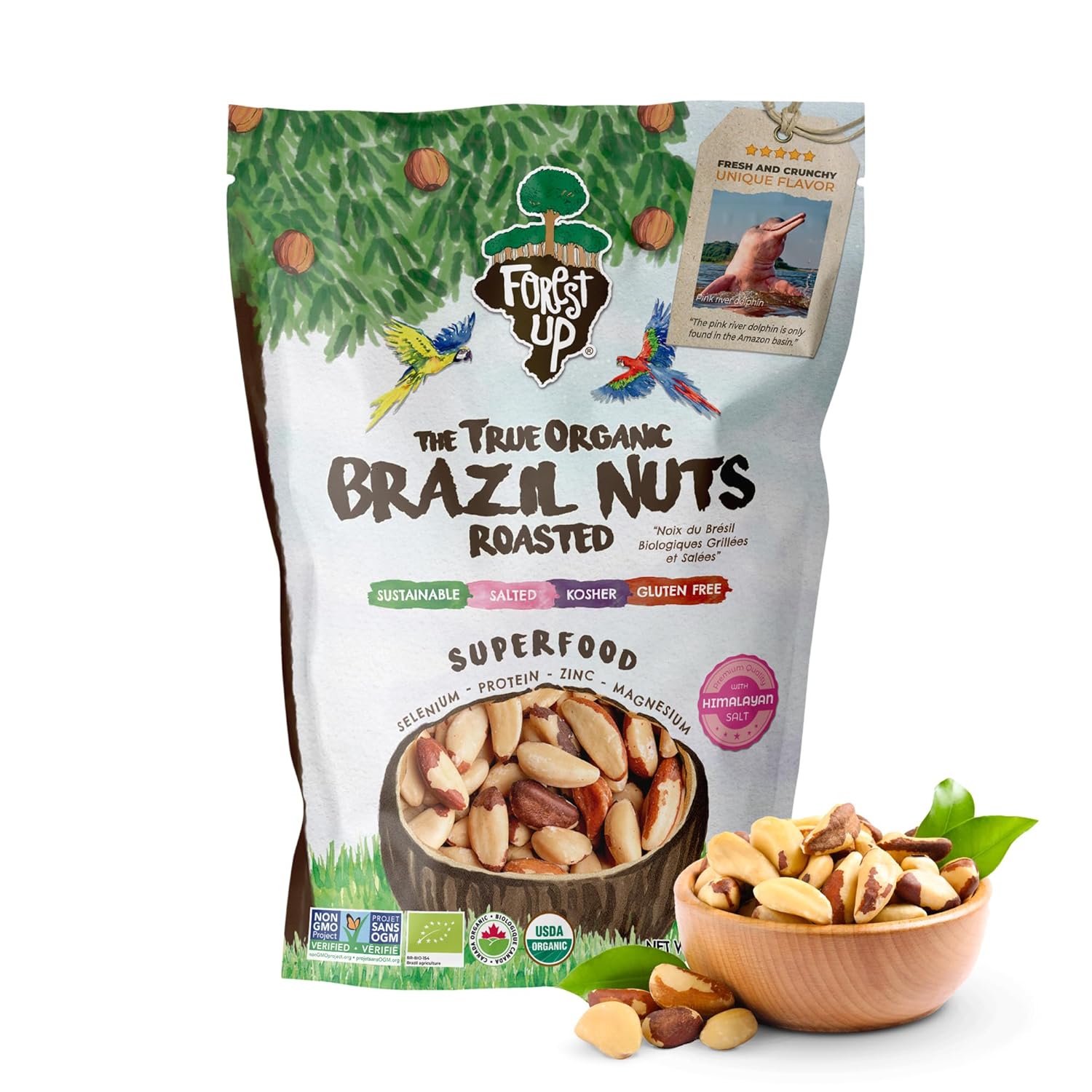 Snack The True Organic Brazil Nuts 15 oz – Raw and Unsalted – Kosher – Healthy – Rich in Vegetable Protein – Harvested in Amazon Rainforest – Fresh, Vegan, and Gluten Free – Forest Up