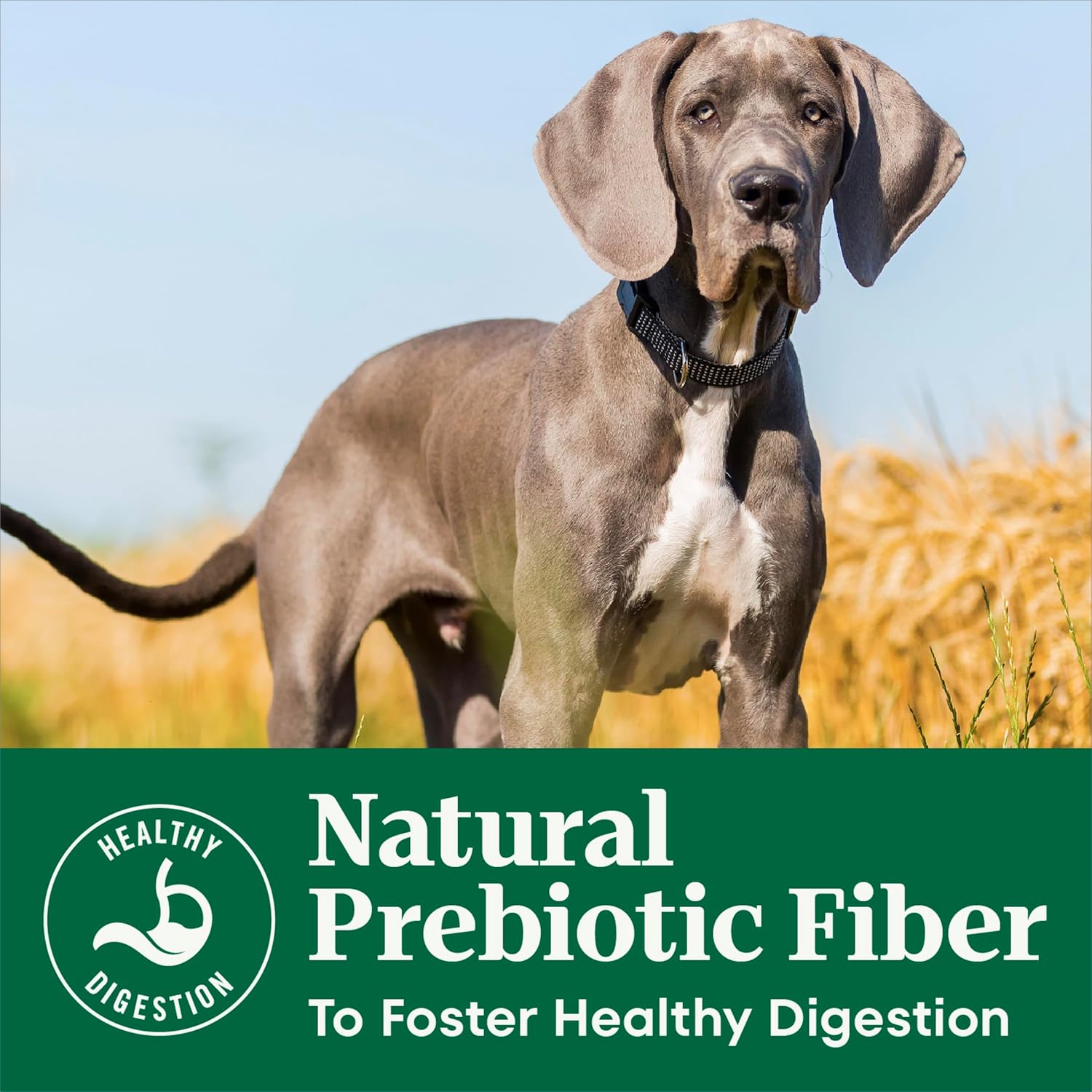 Nutro Natural Choice Large Breed Puppy Food Dry, Lamb & Brown Rice Recipe, 30 lb. Bag