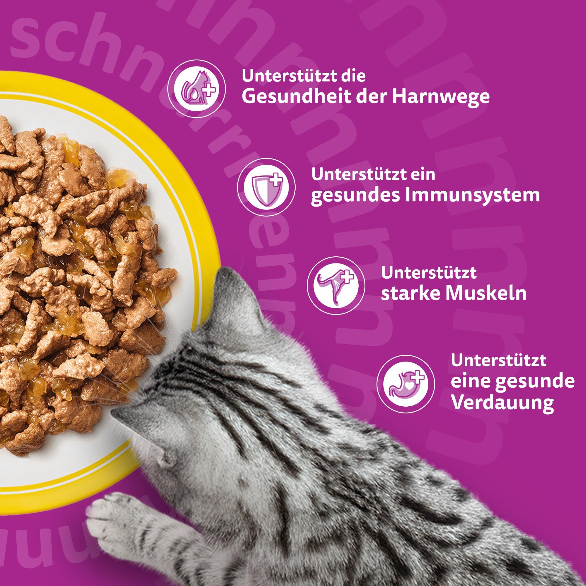 Whiskas Senior 7+ Katzennassfutter Gemischte Auswahl in Sauce, 48 Portionsbeutel, 12x85g (4er Pack) – Hochwertiges Katzenfutter nass, für Katzen ab 7 Jahren und älter