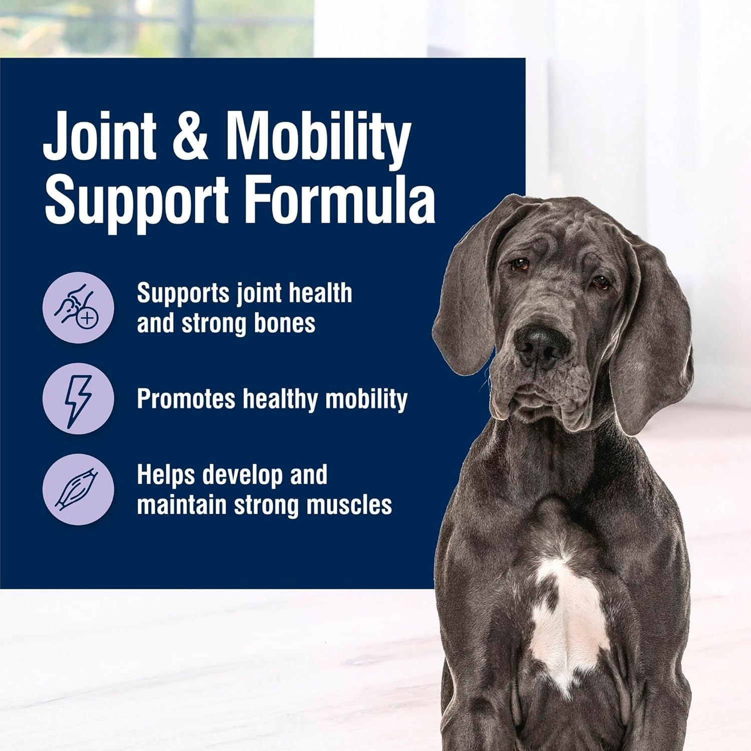 Blue Buffalo True Solutions Mobility Care Wet Dog Food for Adult Dogs, Made with Natural Ingredients, Chicken, 12.5-oz. cans (12 Count)