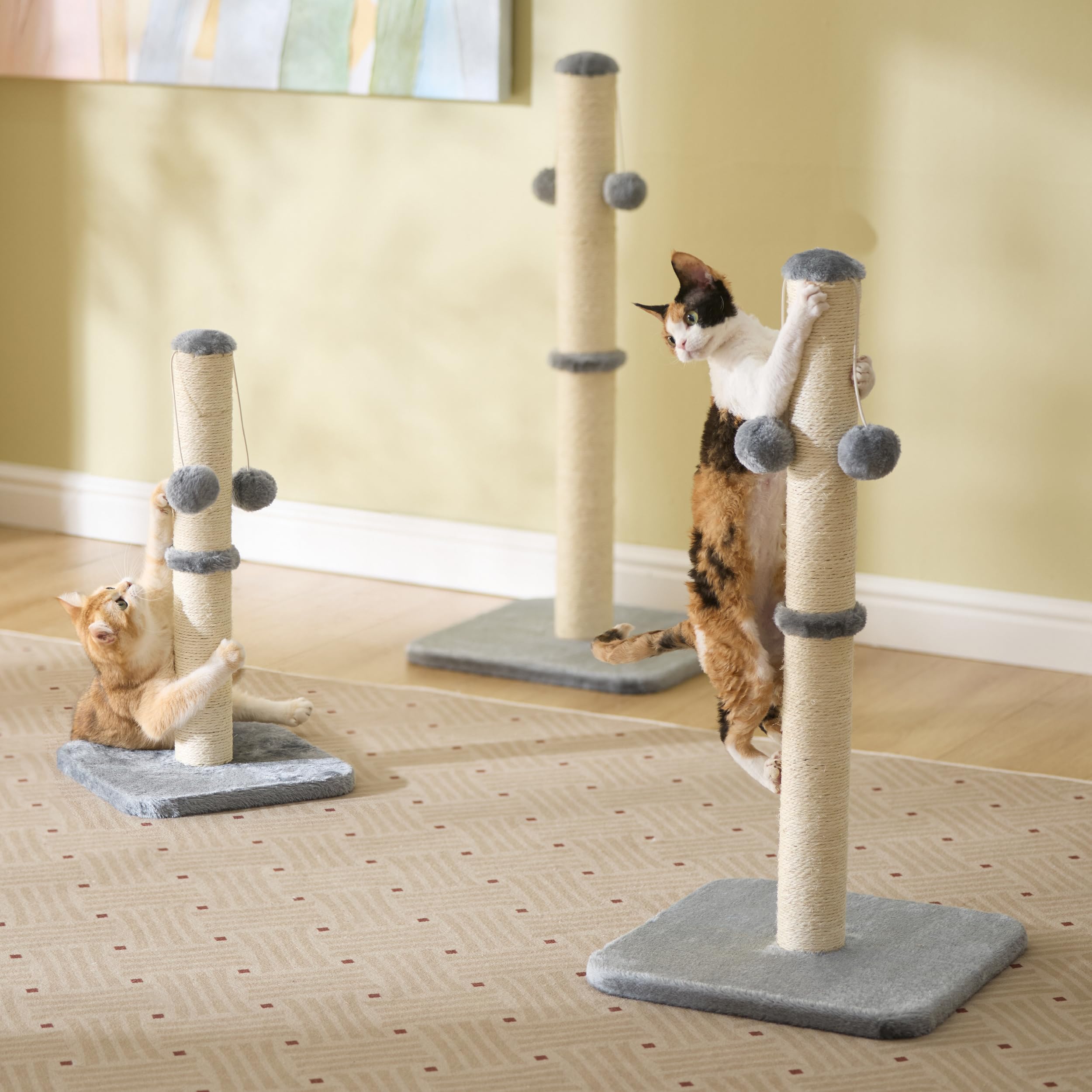 Lesure Kratzsäule Mittelgroßer für Katzen Indoor - 36x36x74cm Kratzstamm mit Hängendem Spielball, Kleiner Kratzbaum mit Sisalseil, Stabile Basis Kratzsäule, Grau