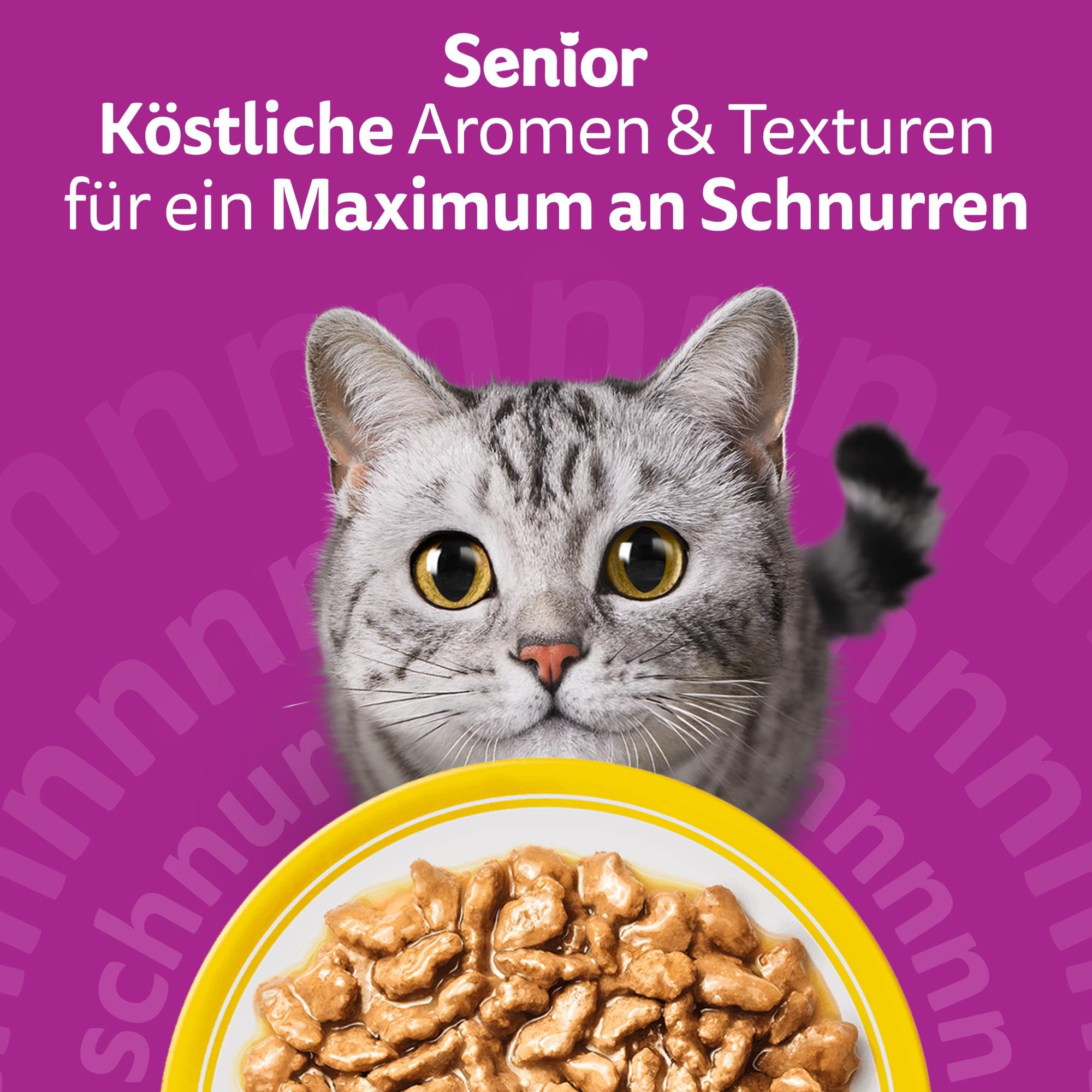 Whiskas Senior 7+ Katzennassfutter Gemischte Auswahl in Sauce, 48 Portionsbeutel, 12x85g (4er Pack) – Hochwertiges Katzenfutter nass, für Katzen ab 7 Jahren und älter