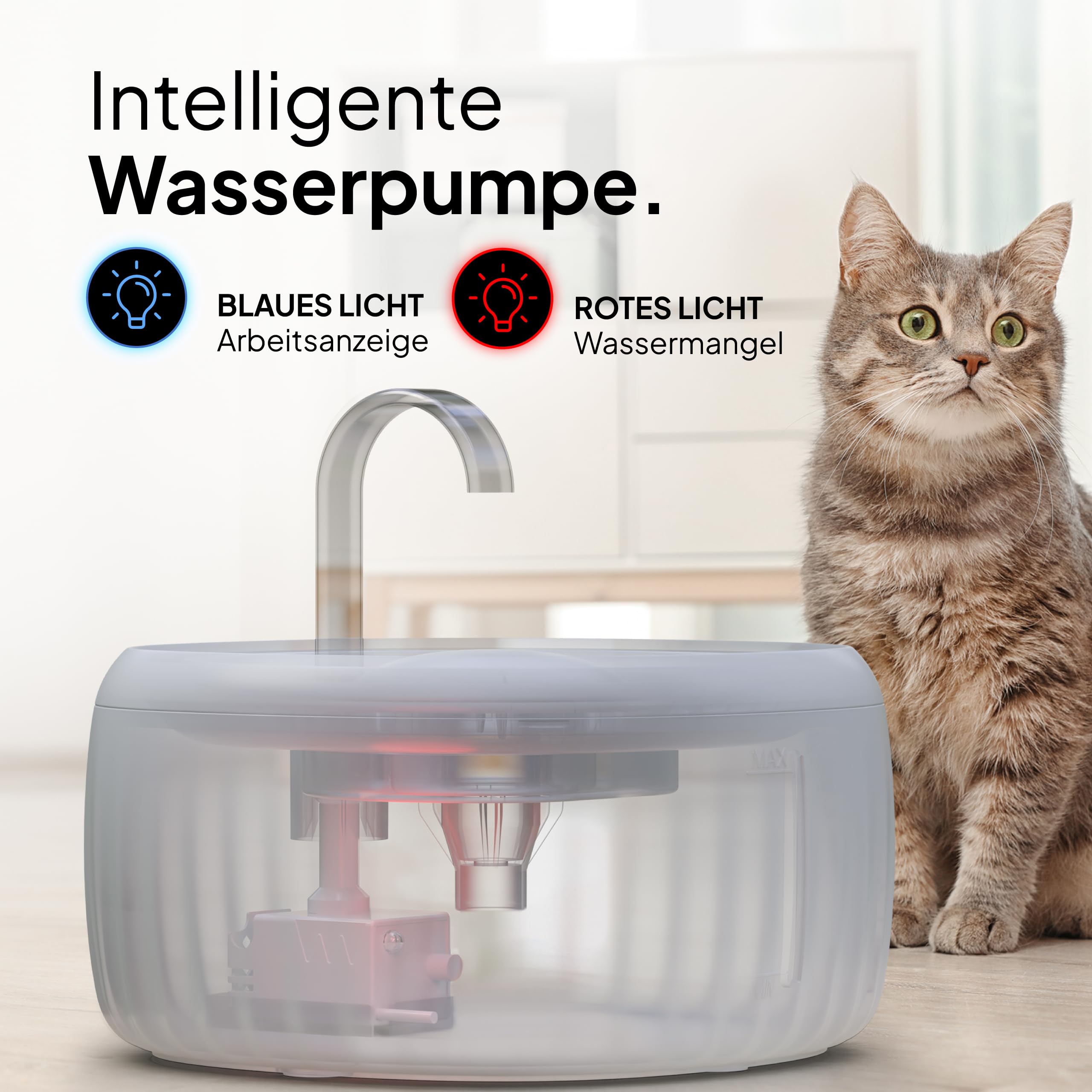 PrettyPaw Katzenbrunnen - Super leiser, BPA-freier 3L Trinkbrunnen für Katze mit LED und Aktivkohlefilter - Leicht zu reinigender Katzen Trinkbrunnen - Aqua Flow (Schwarz)