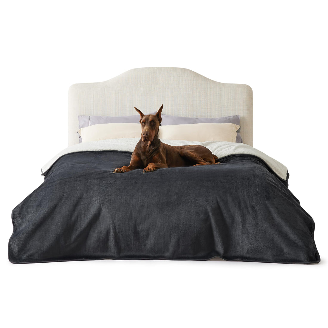 LE SURE wasserdichte Hundedecke mittelgroße Hunde - 100x80cm Hundedecke waschbar, Hundedecke Sofaschutz aus Sherpa Fleece, Katzendecke flauschig und weich, Grau