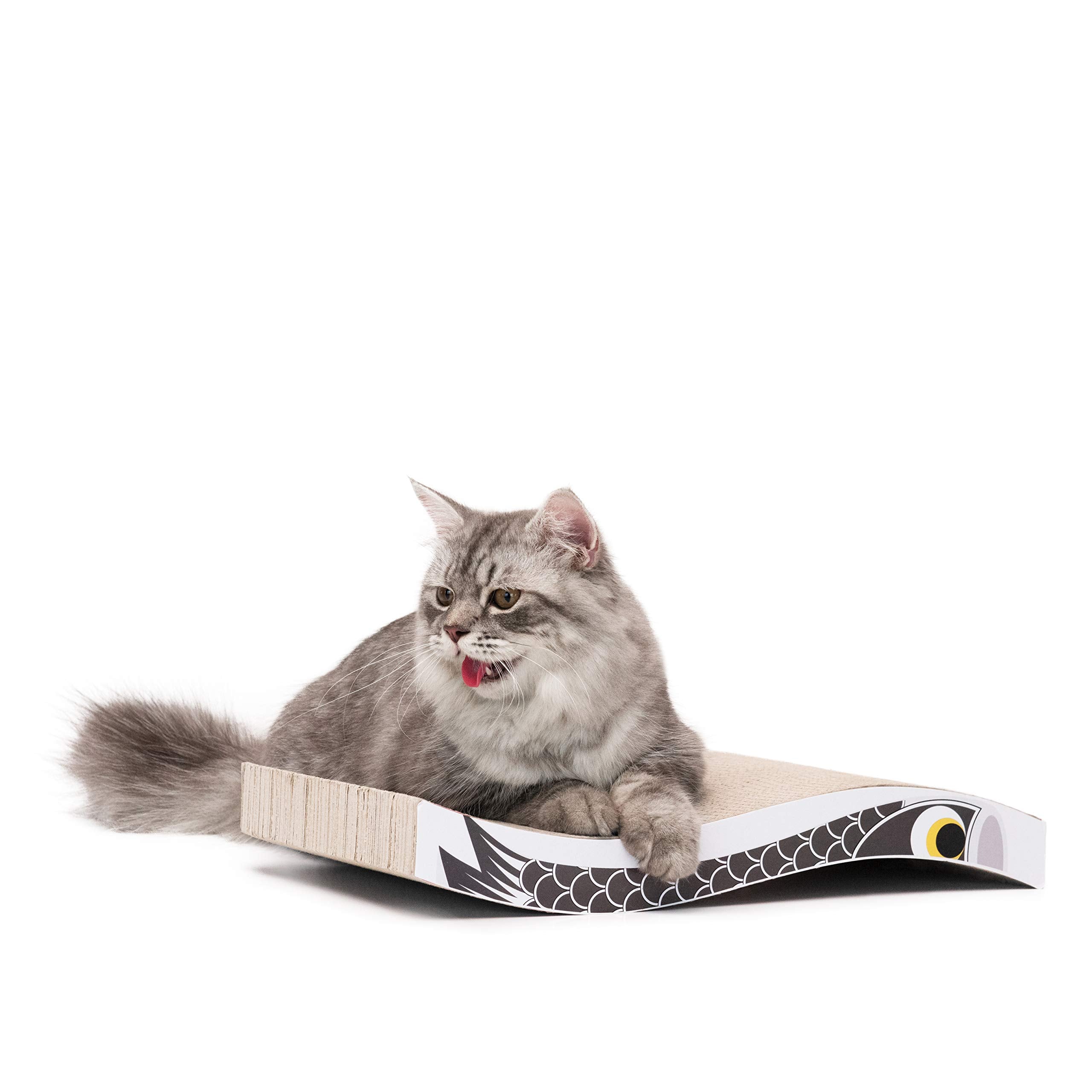 Katzen Kratzbrett aus Pappe – Kratzbretter Katze mit Wellenform, langlebige Kratzmatte als Möbelschutz für Sofa & Ecke, umkehrbare Kratzpappe für Wohnungskatzen (1er-Pack)