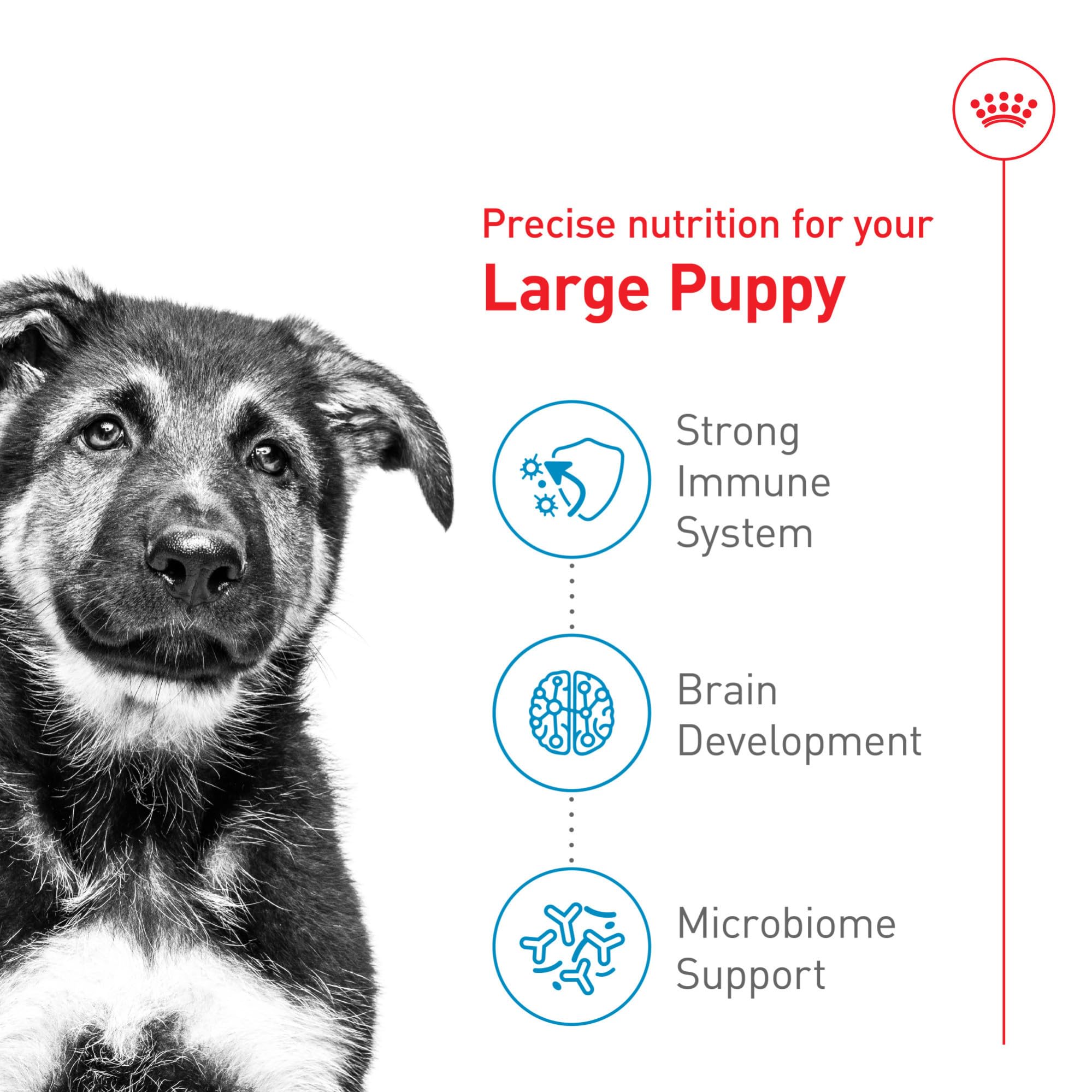 Royal Canin Size Health Nutrition Large Puppy Dry Dog Food, 30 lb Bag