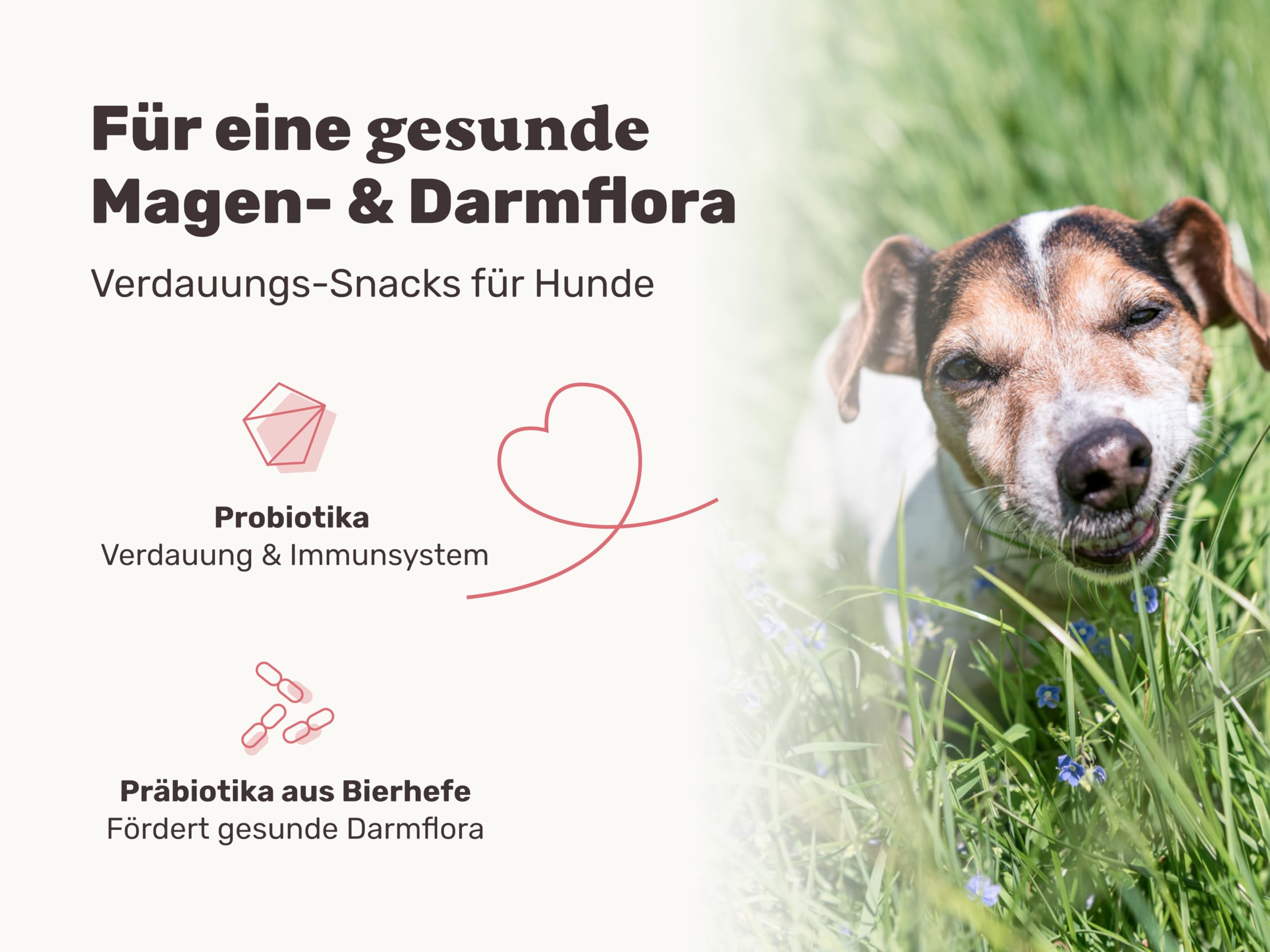 9-in-1 Probiotika für Deinen Hund - Lucky Belly Hypoallergen Allergie Fit ohne Huhn 120 Drops (350g) von mammaly-Bei Magenprobleme & Verdauungsprobleme für Magen-Darm,Verdauungssnacks bei Gras fressen