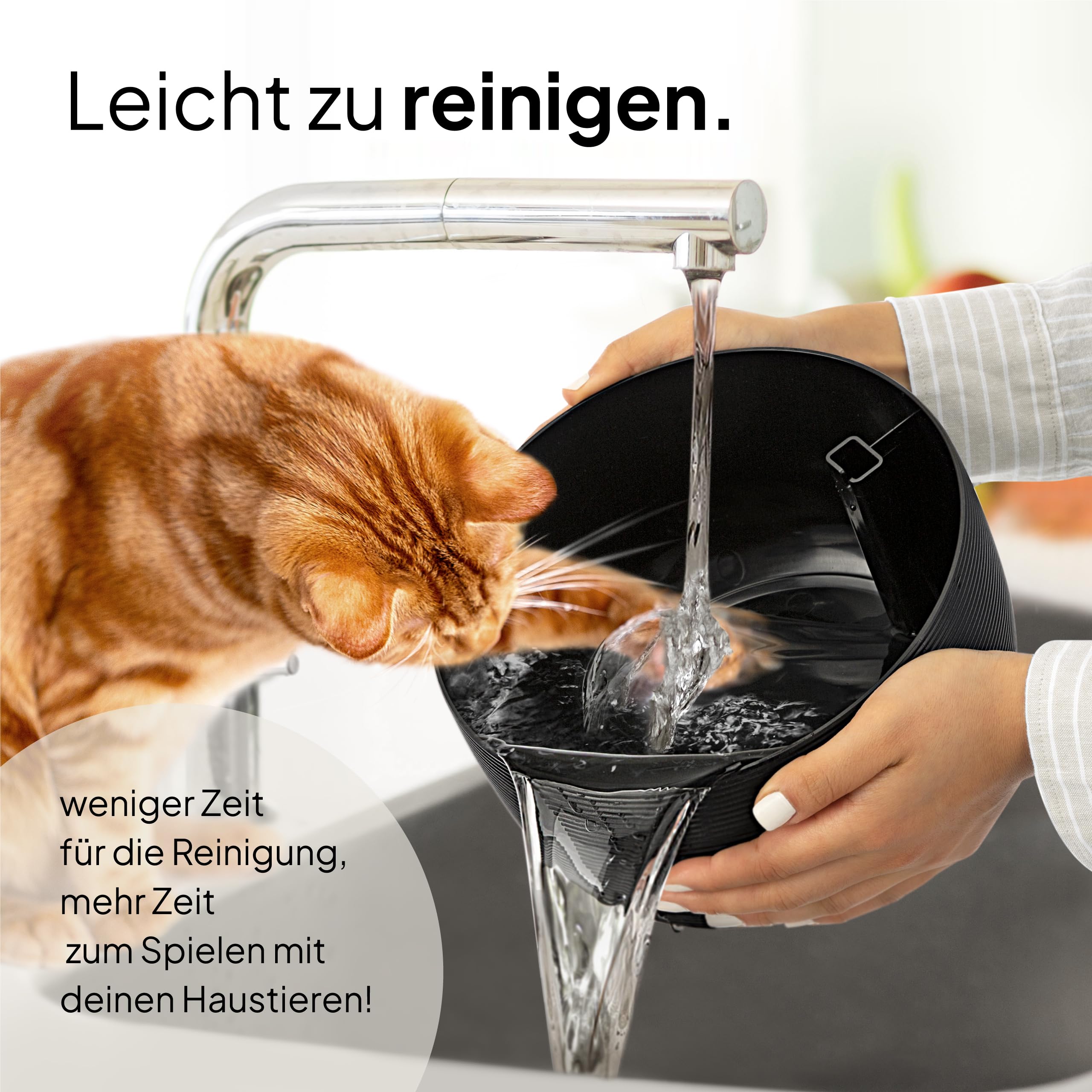 Pretty Paw Trinkbrunnen für Katze – Flüsterleiser 2,5L Katzenbrunnen mit LED & Aktivkohlefilter - BPA-frei & leicht zu reinigen - Hochwertige Lösung zum fairen Preis - KatzenOase Pro