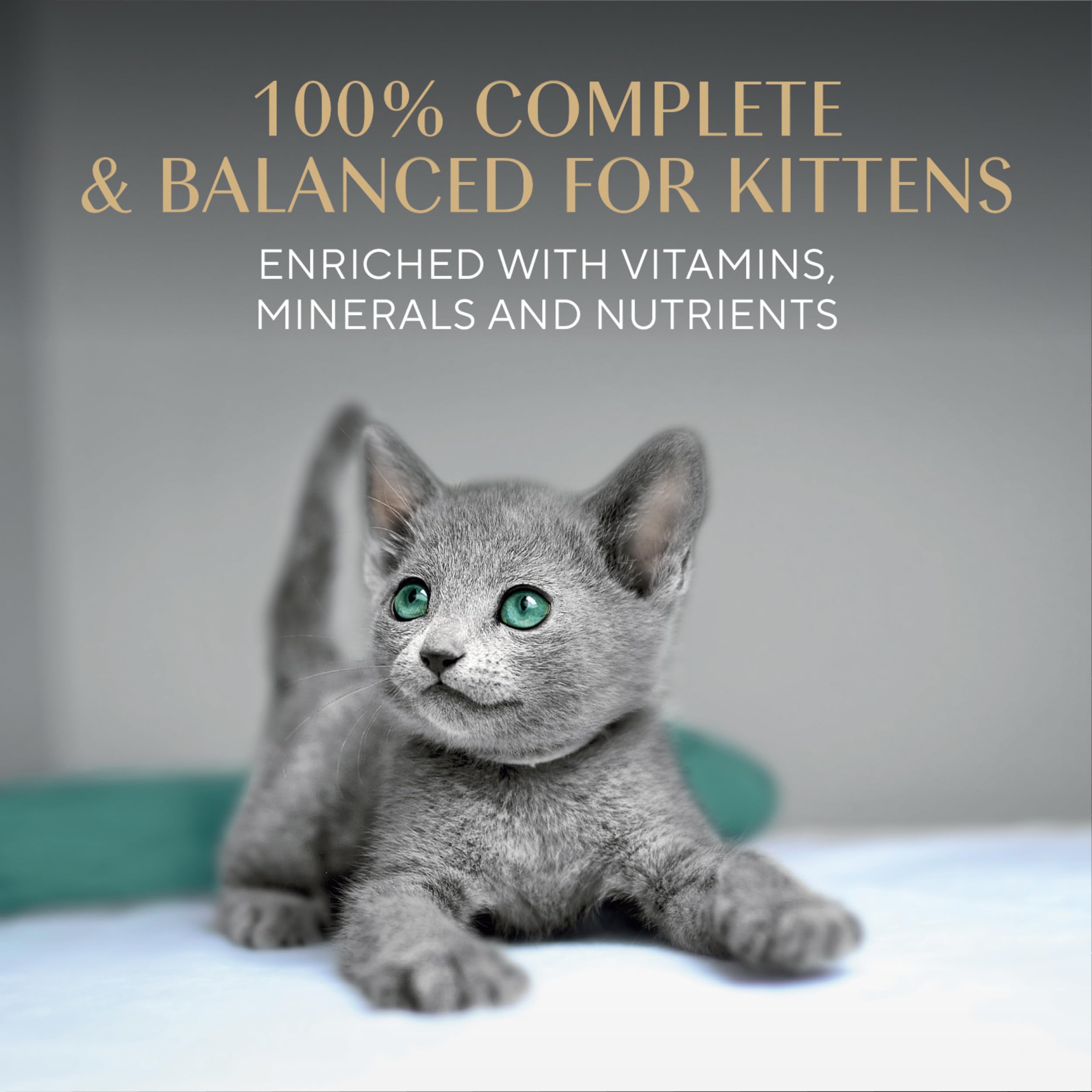 Sheba Perfect Portions Kitten Wet Cat Food Pate Chicken Entree, Salmon Entree, and Turkey Entree, 2.6 oz. Twin-Pack Trays (24 Count, 48 Servings)