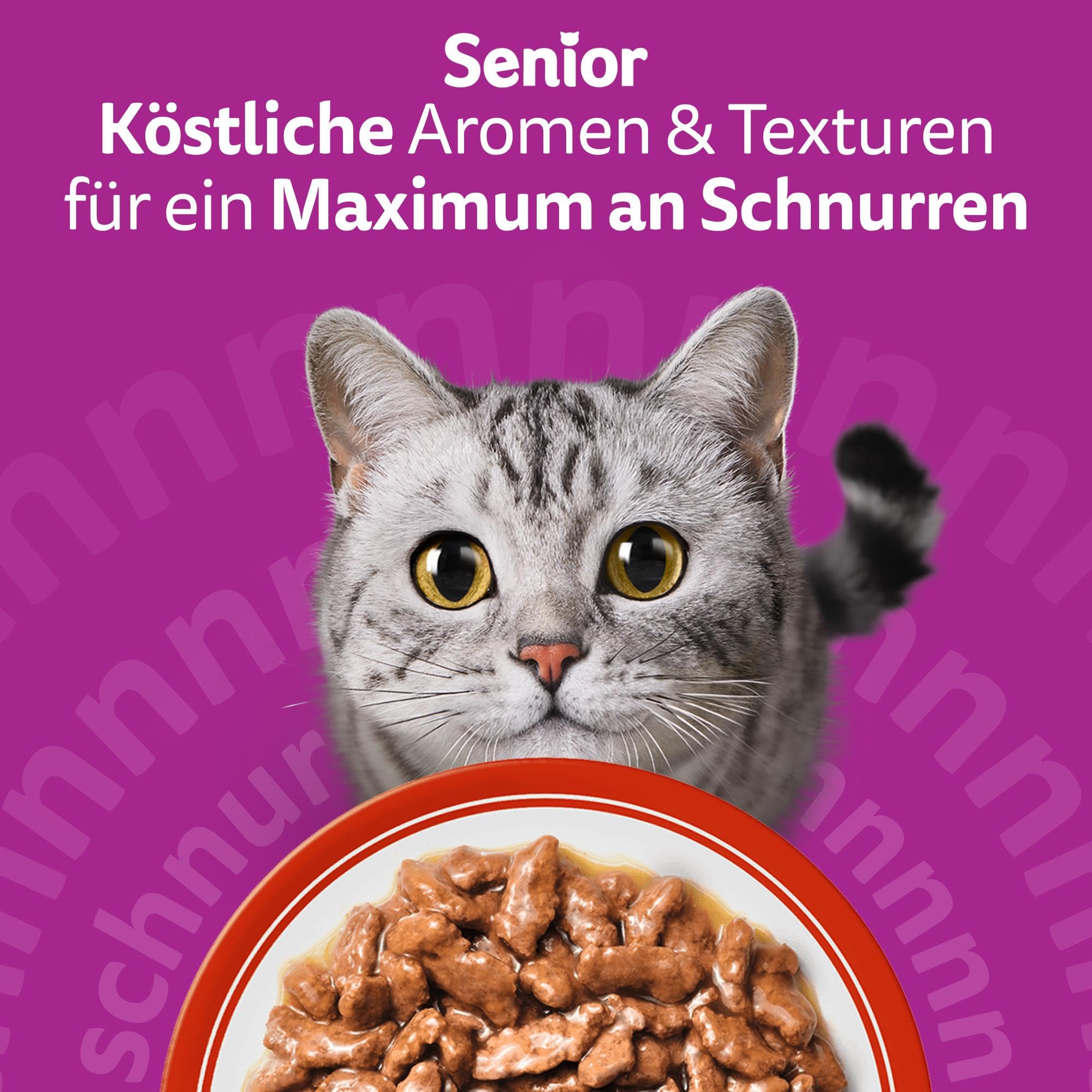 Whiskas Senior 7+ Katzennassfutter Gemischte Auswahl in Sauce, 48 Portionsbeutel, 12x85g (4er Pack) – Hochwertiges Katzenfutter nass, für Katzen ab 7 Jahren und älter