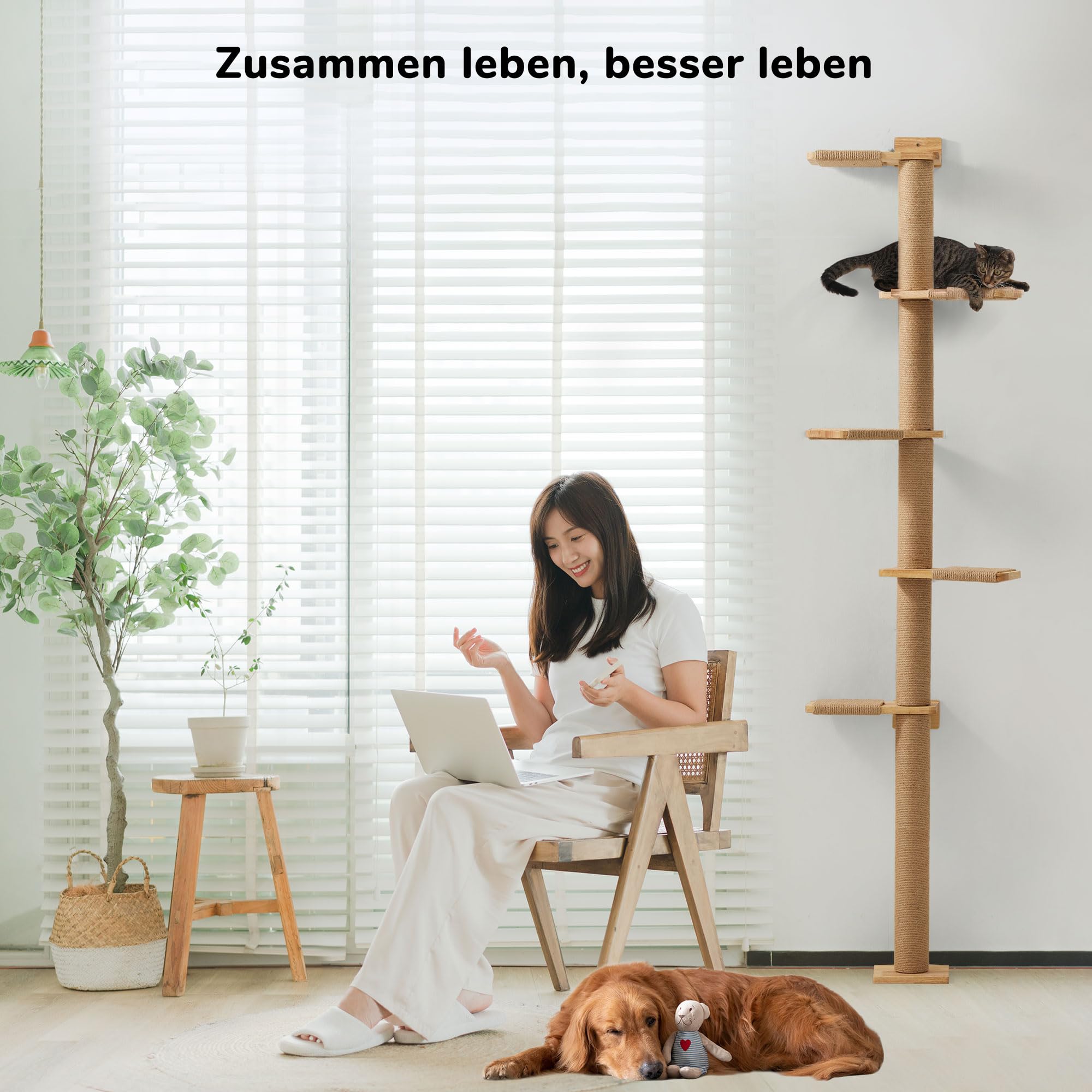 FUKUMARU Kratzbaum, 5 Etagen bis zur Decke reichender Katzenturm(206 cm), wandmontierter Katzenbaum,aus Natürliches Gummibaumholz, für Katzen zum Klettern, Kratzen, Ausschau halten und Spielen.