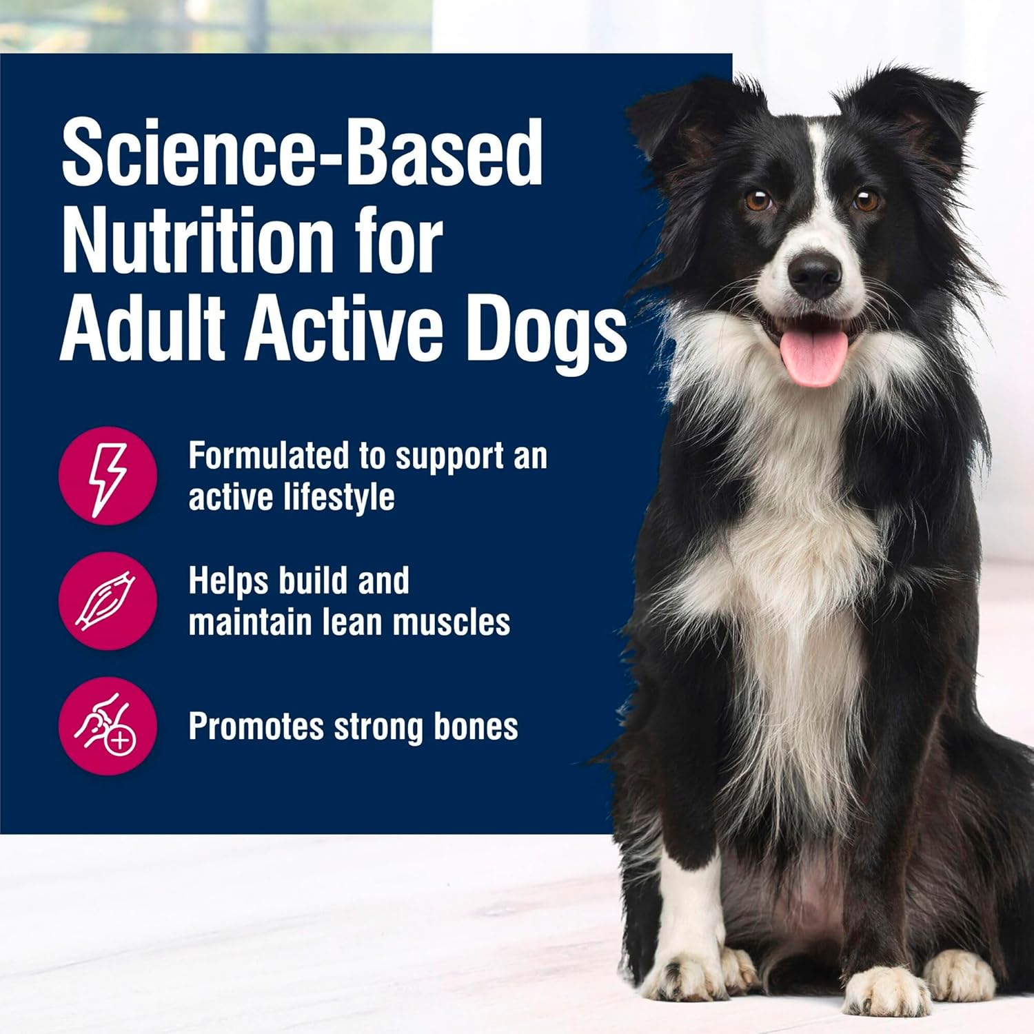 Blue Buffalo True Solutions Active Dog Wet Dog Food for Active Adult Dogs, Made with Natural Ingredients, Chicken, 12.5-oz. Cans (12 Count)