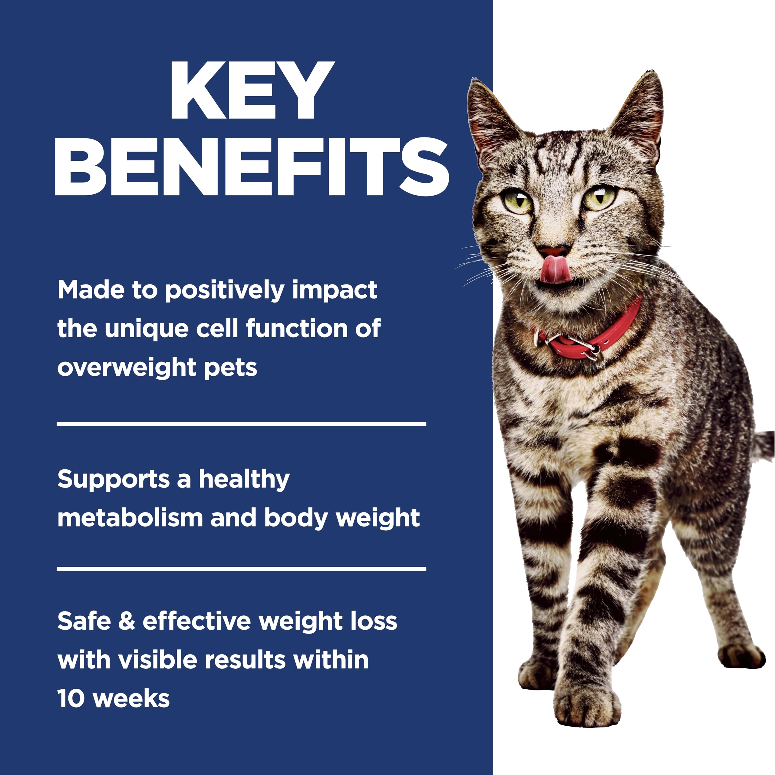 Hill's Science Diet Perfect Weight, Adult 1-6, Weight Management Support, Dry Cat Food, Chicken Recipe, 7 lb Bag