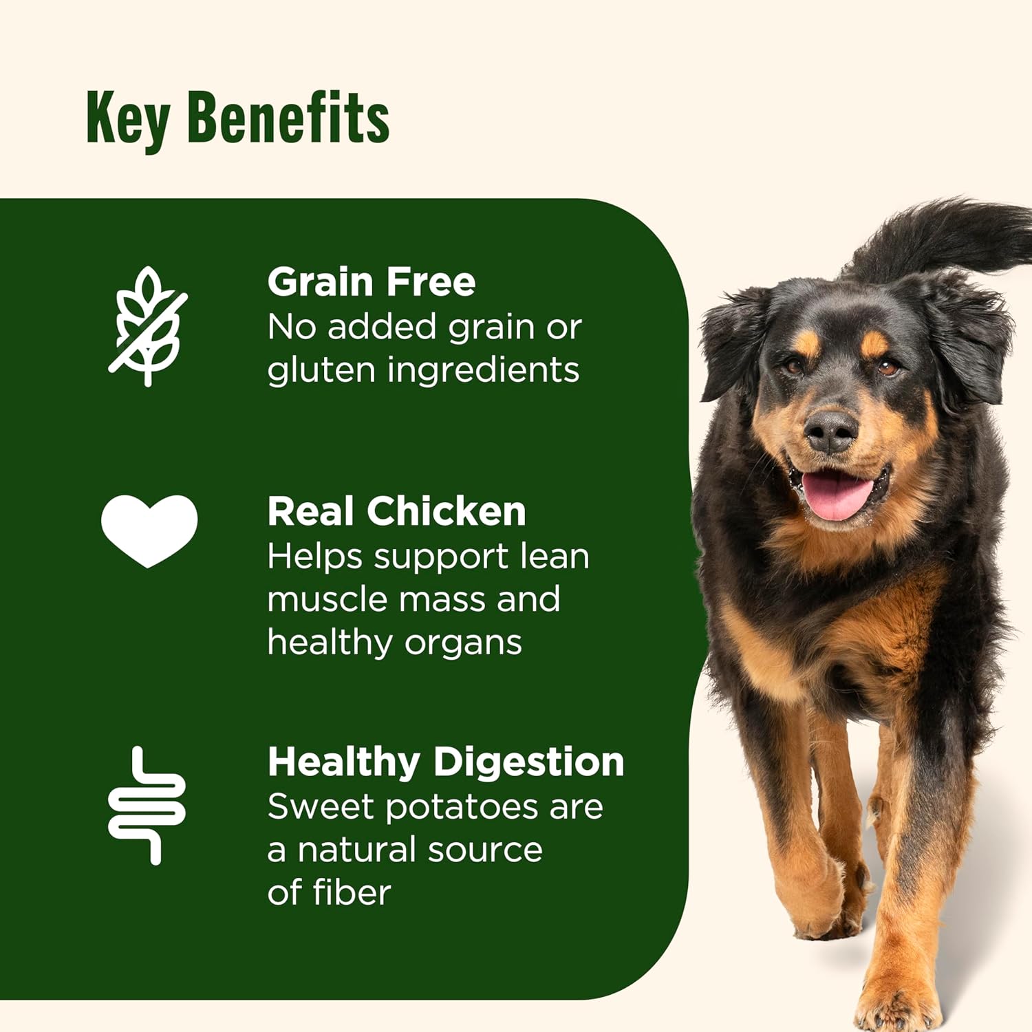 Nutrish Grain Free Chicken & Sweet Potato Recipe Dry Dog Food, 13 lb. Bag, Packaging May Vary (Rachael Ray)