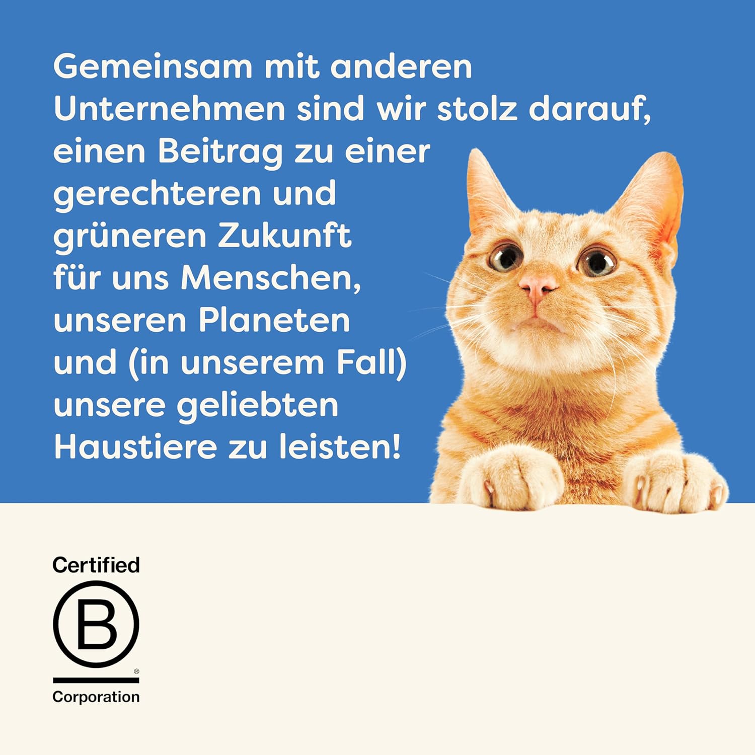 Applaws 100% Natural Thunfischfilet Nassfutter in Brühe für ausgewachsene Katzen - 24 x 70g Dosen