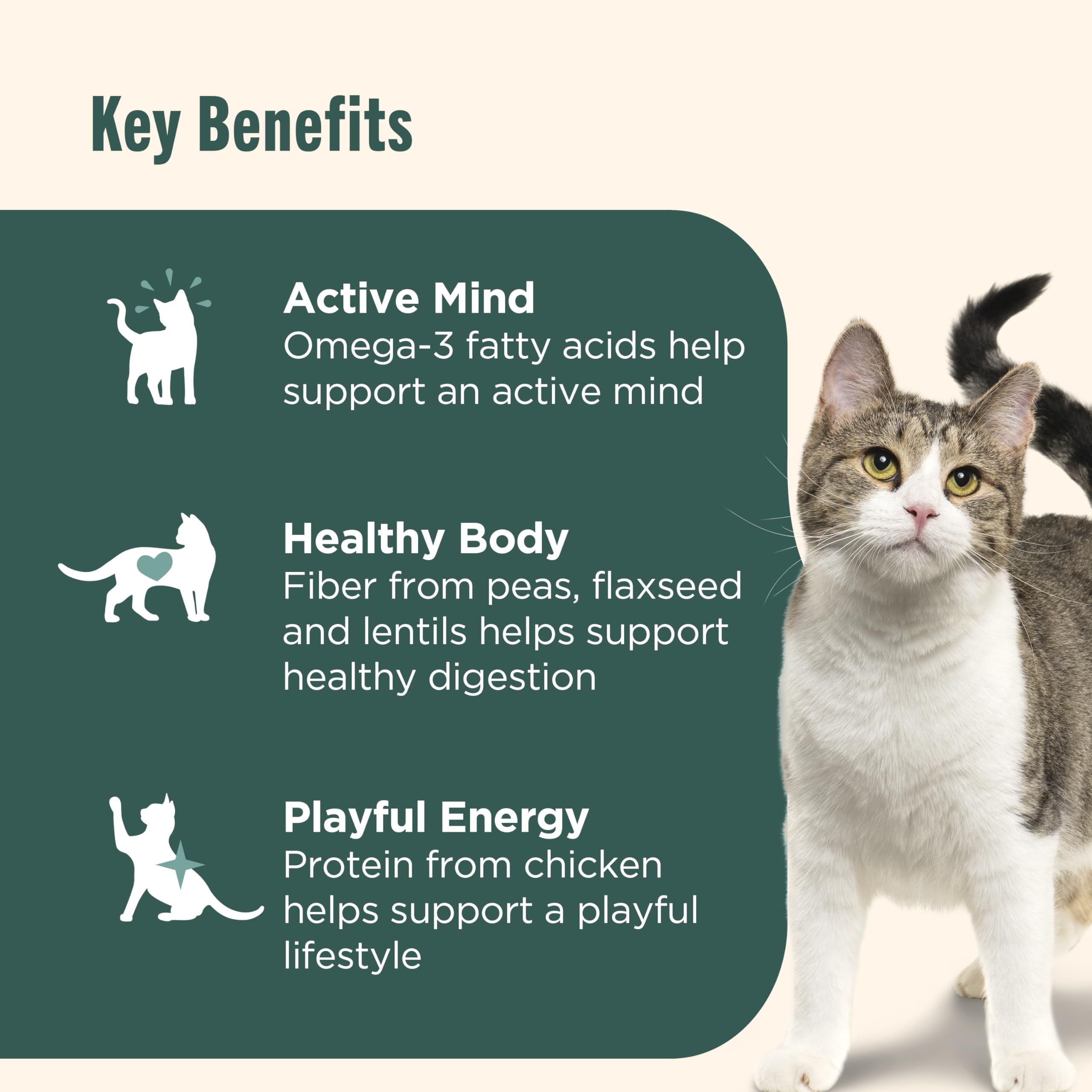 Nutrish Indoor Complete Premium Natural Dry Cat Food, Chicken with Lentils & Salmon Recipe, 14 Pounds (Packaging May Vary)