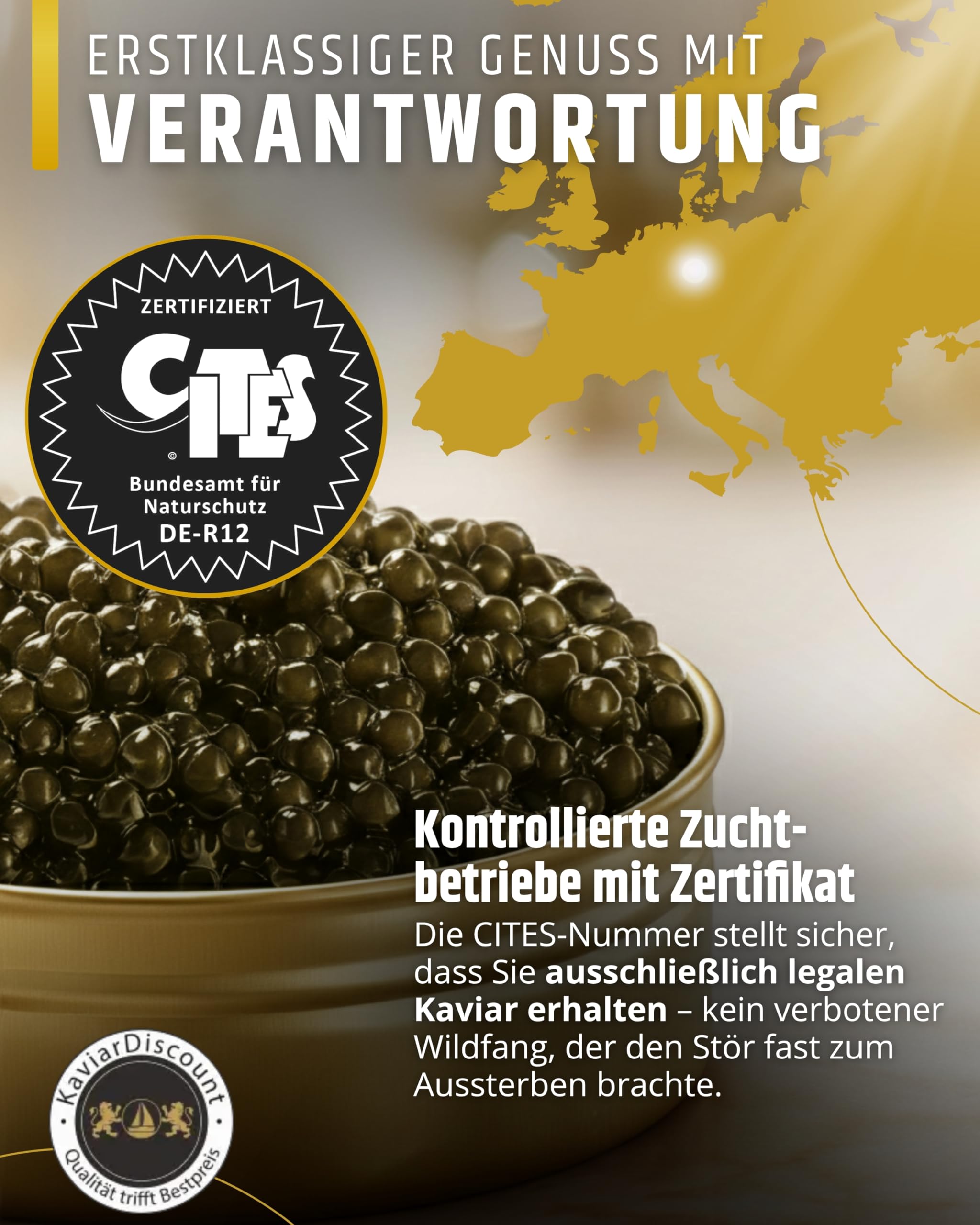 SEPEHR DAD CAVIAR Beluga Premier Kaviar 30 g I großes Korn 2,9-3,1 mm I Beluga Premier Caviar aus nachhaltiger Aquakultur I mild & fein-sahnig I exklusiver Stör Kaviar aus Kaluga Hausen Störrogen
