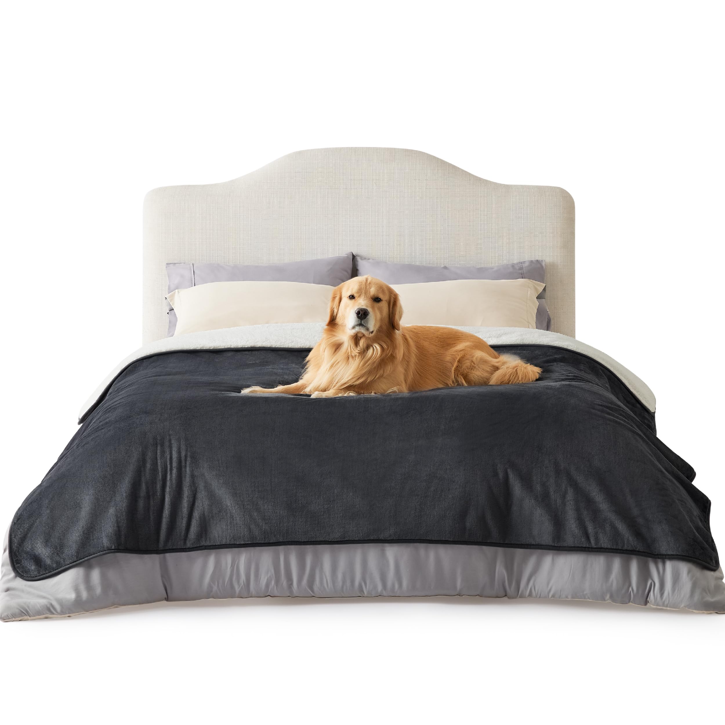 LE SURE wasserdichte Hundedecke mittelgroße Hunde - 100x80cm Hundedecke waschbar, Hundedecke Sofaschutz aus Sherpa Fleece, Katzendecke flauschig und weich, Grau