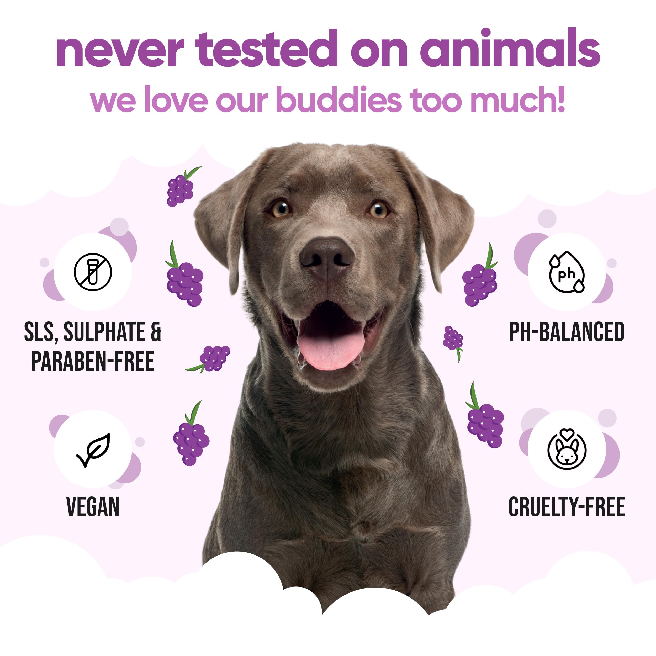 2in1 Hundeshampoo und Conditioner von Buddycare (500ml) - Praktisches Hundeshampoo langhaar und welpen Shampoo Mit Aloe Vera und Pro-Vitamin B5 Rückfettendes Shampoo Für Alle Hunderassen