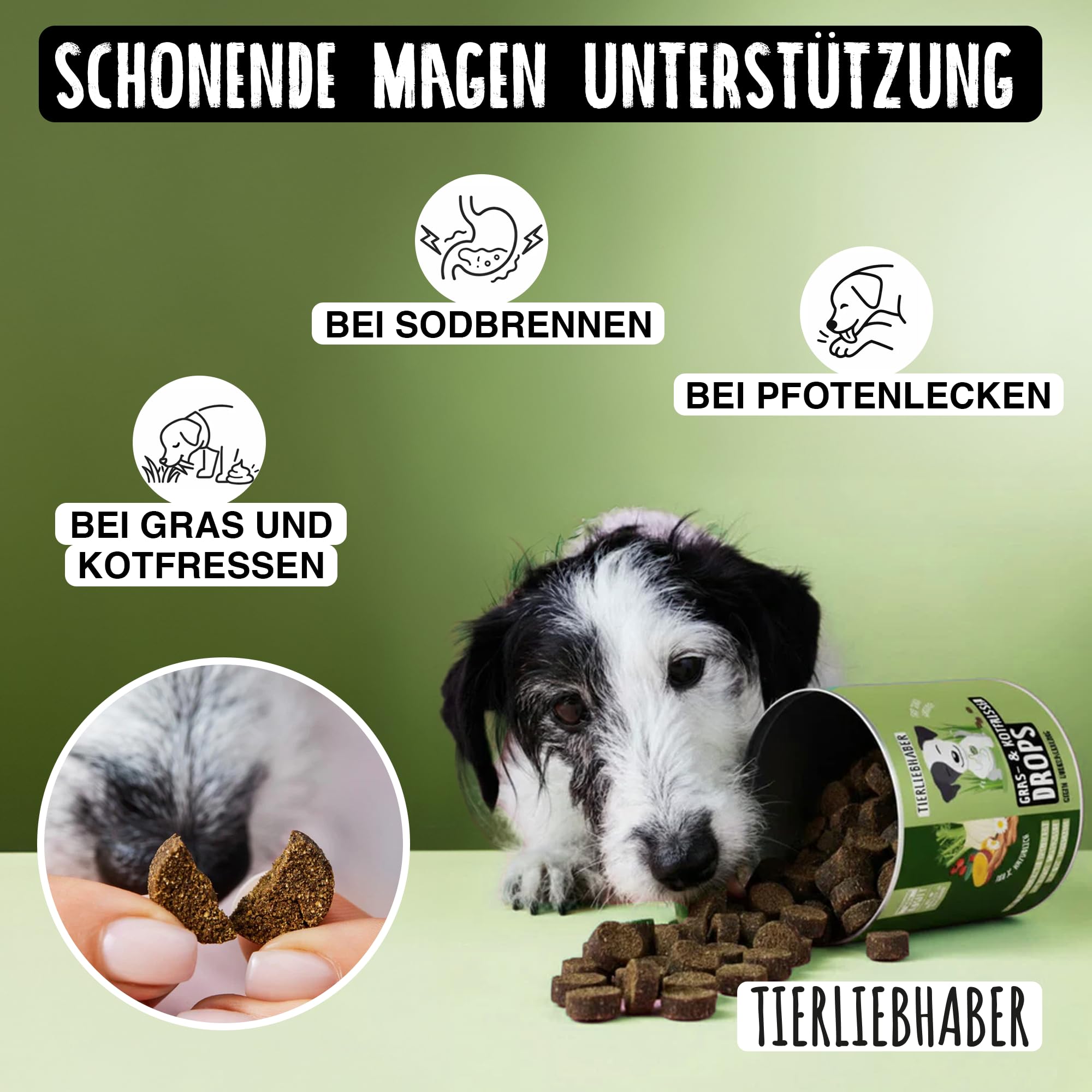 TIERLIEBHABER – Gras- & Kotfresser Drops bei Sodbrennen Hund mit Ulmenrinde für Hunde – Tierärztlich entwickelt – Hund Sodbrennen Drops angereichert mit Moor und Fenchel – 350 g mit ca. 160 Drops