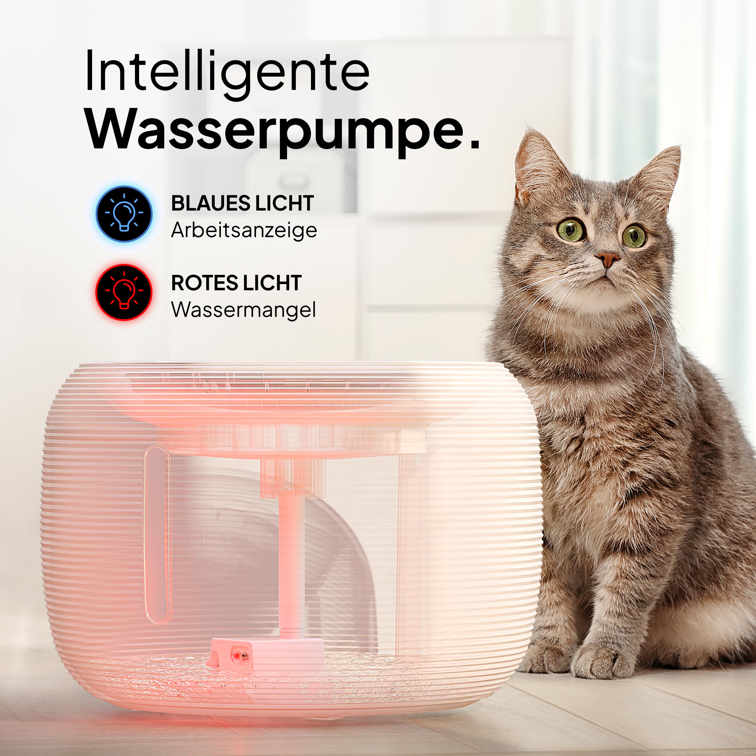 Pretty Paw Trinkbrunnen für Katze – Flüsterleiser 2,5L Katzenbrunnen mit LED & Aktivkohlefilter - BPA-frei & leicht zu reinigen - Hochwertige Lösung zum fairen Preis - KatzenOase Pro