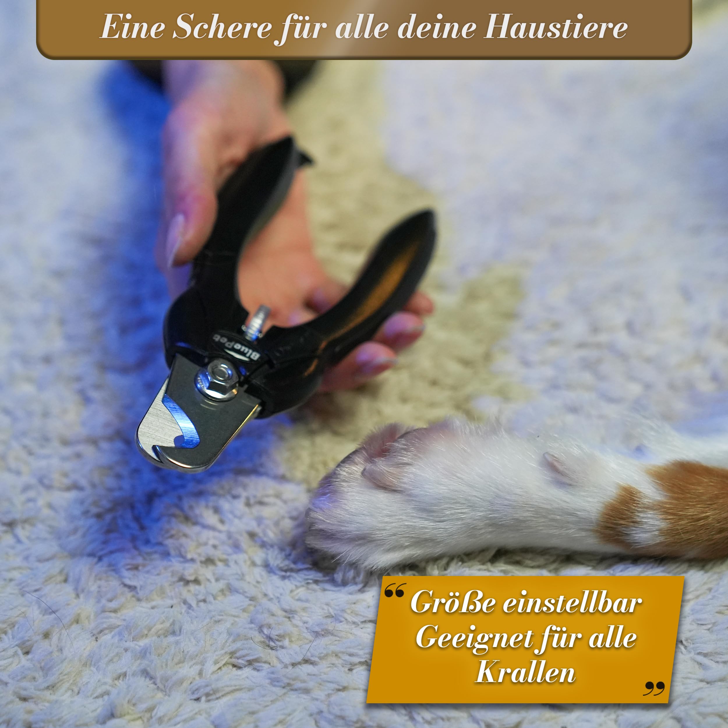 BluePet Krallenschere mit Schutz für Hunde & Katzen I Einsteigerfreundlich I Krallenzange für kleine & große Krallen + Krallenfeile im Griff - Alternative zu Nagelschere & Krallenschleifer