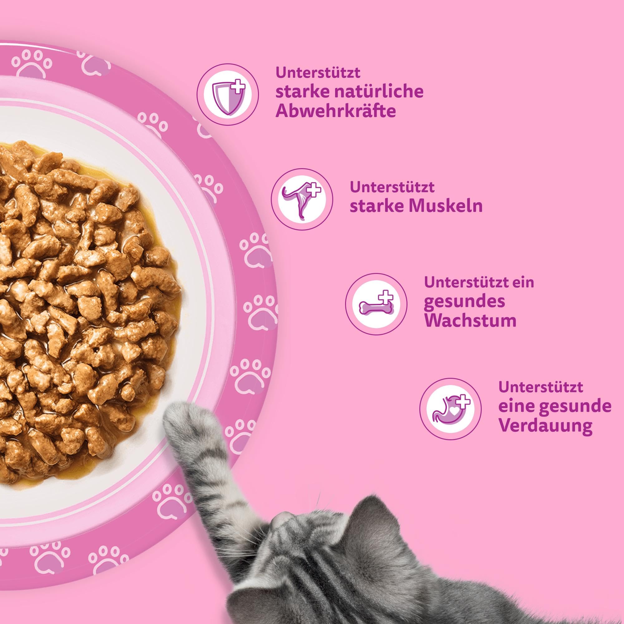 Whiskas Junior Katzennassfutter Klassische Auswahl in Sauce, 48 Portionsbeutel, 12x85g (4er Pack) – Hochwertiges Katzenfutter nass, für heranwachsende Katzen von 2 bis 12 Monaten