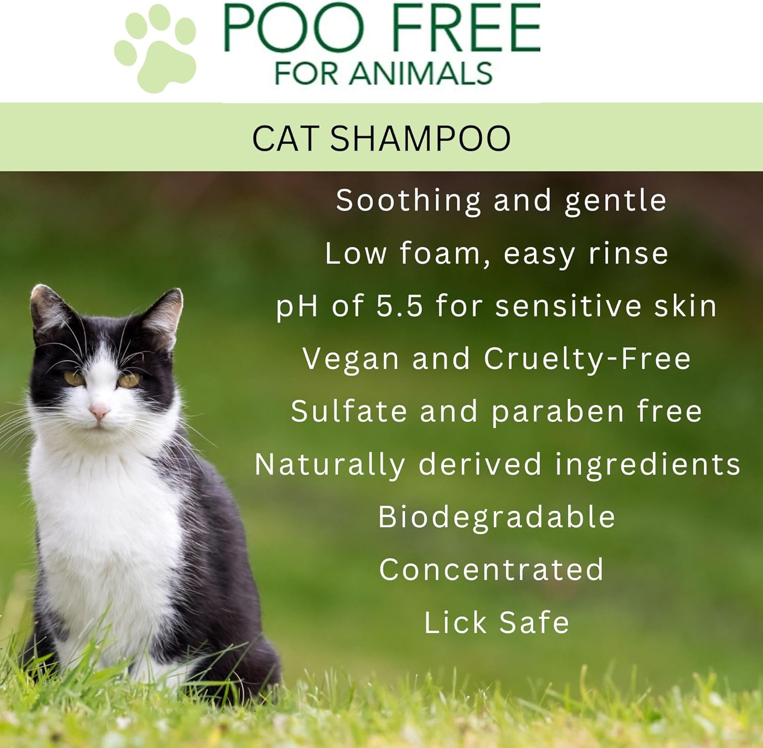 Katzenshampoo (Unscented) – Ultra-sanfte pH-hautneutrale Pflege – 99% Natürlicher Ursprung – Hypoallergen & Rein – 250ml