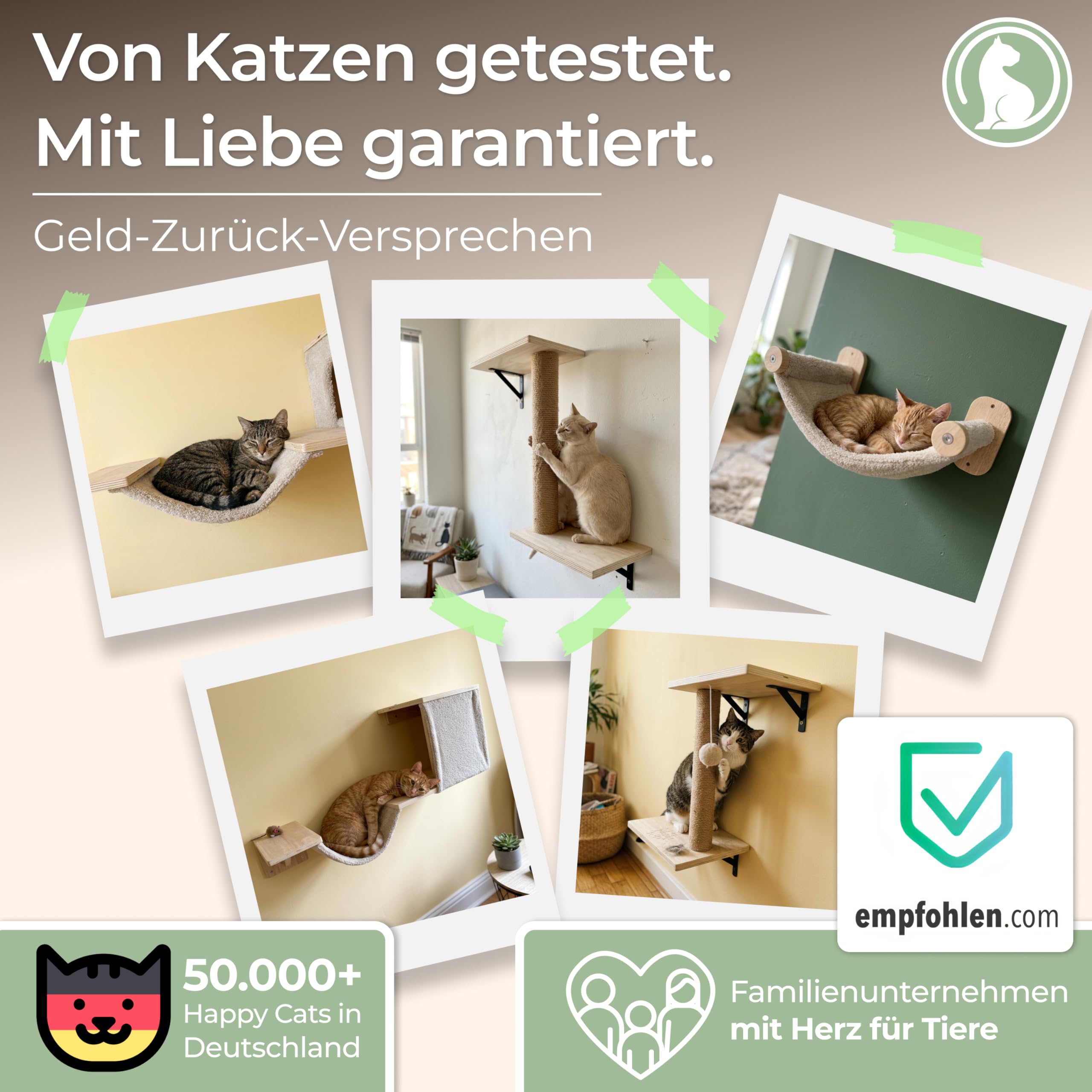 WOOWOOD® 2X Kletterwand Katzen - 3X Katzentreppe Wand [Beste Stabilität] - Kratzbaum Wand, Hängematte Katze, Wandkratzbaum, Katzenmöbel, Katzenwand, Katzen Kletterwand Set (5 teilig)