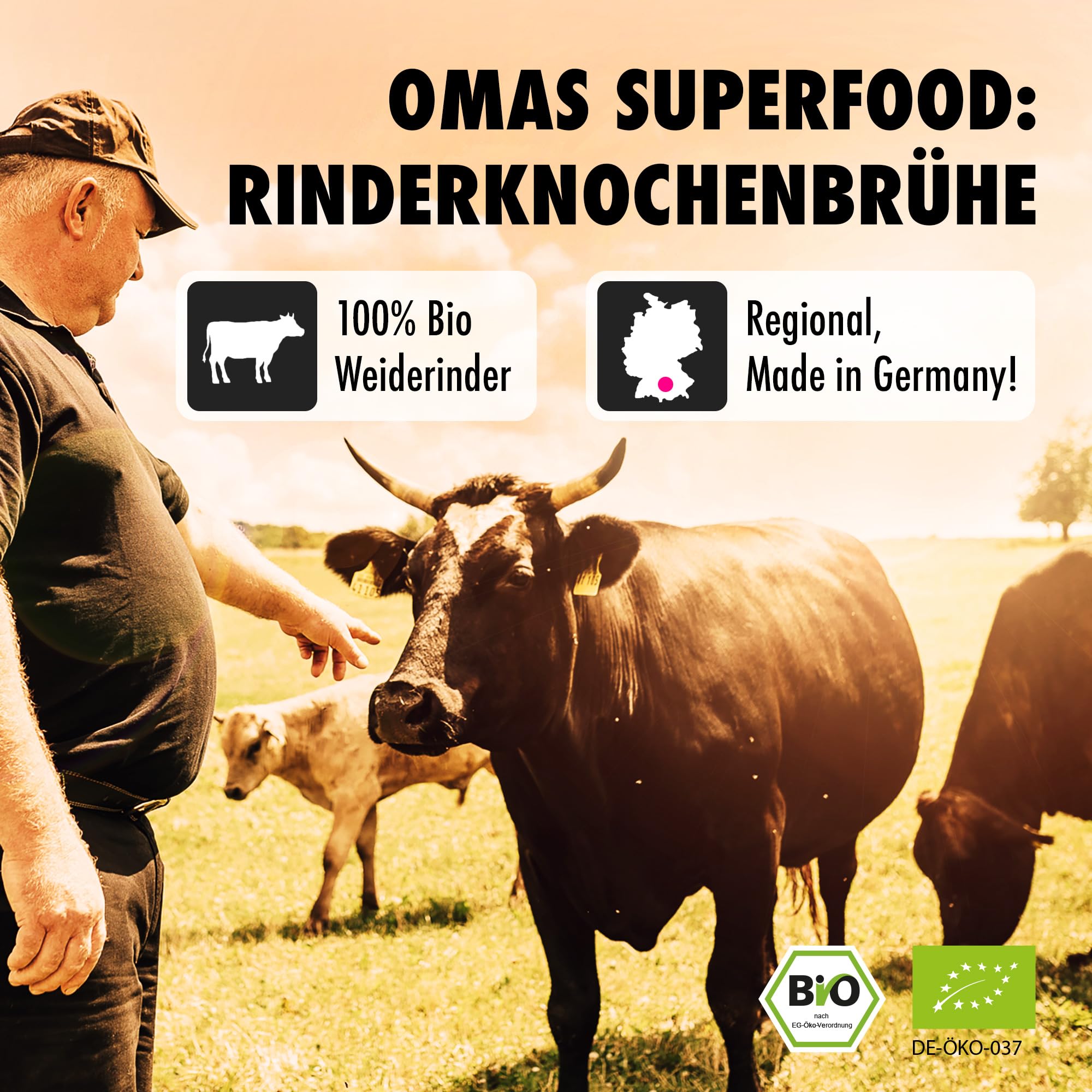 BROX Knochenbrühe Rind Bio [6x370ml] – 24 Std. gekocht, Deutschland – Kollagen & Aminosäuren – Rinderbrühe aus Weidehaltung – Premium Bone Broth