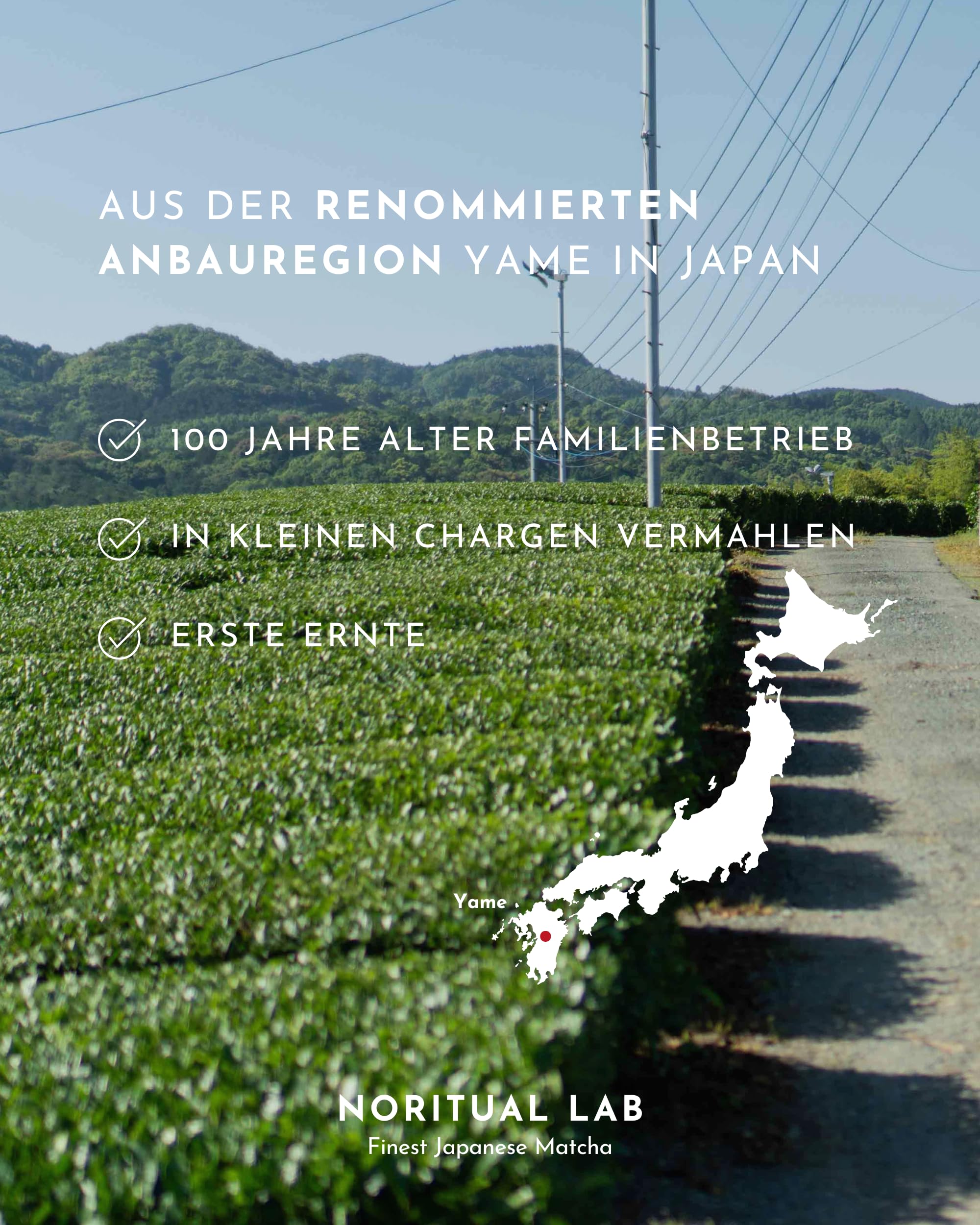 Ceremonial Matcha - Reines Matcha Pulver aus Japan - Ceremonial Grade - Original Matcha Grüntee - Erste Ernte - 100% Natürlich und Laborgeprüft