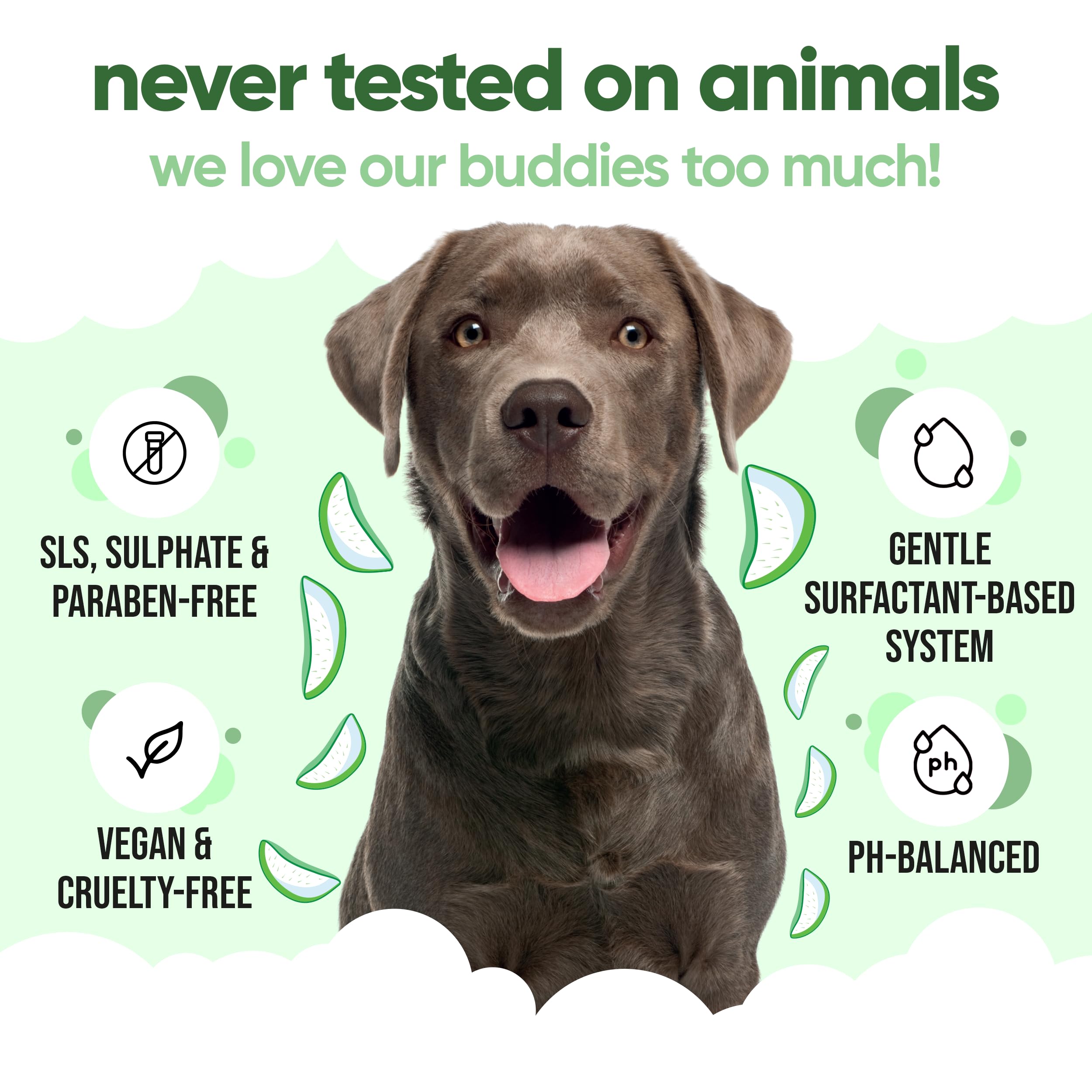 2in1 Hundeshampoo und Conditioner von Buddycare (500ml) - Praktisches Hundeshampoo langhaar und welpen Shampoo Mit Aloe Vera und Pro-Vitamin B5 Rückfettendes Shampoo Für Alle Hunderassen