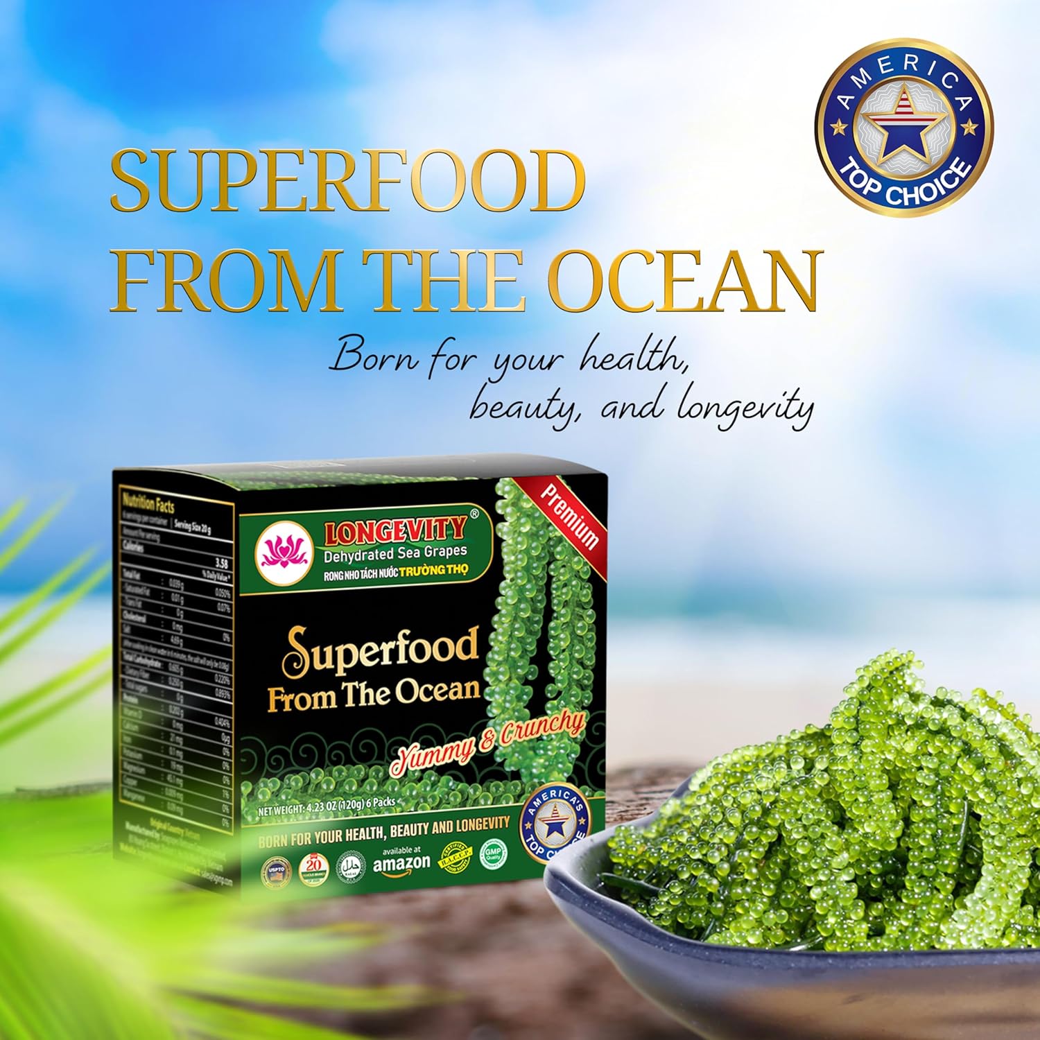 Longevity Meerestraube | Sea Grapes | Umibudo Grape Seaweed 6 x 20G | Rohkost | veganer Kaviar | für knackige Salate